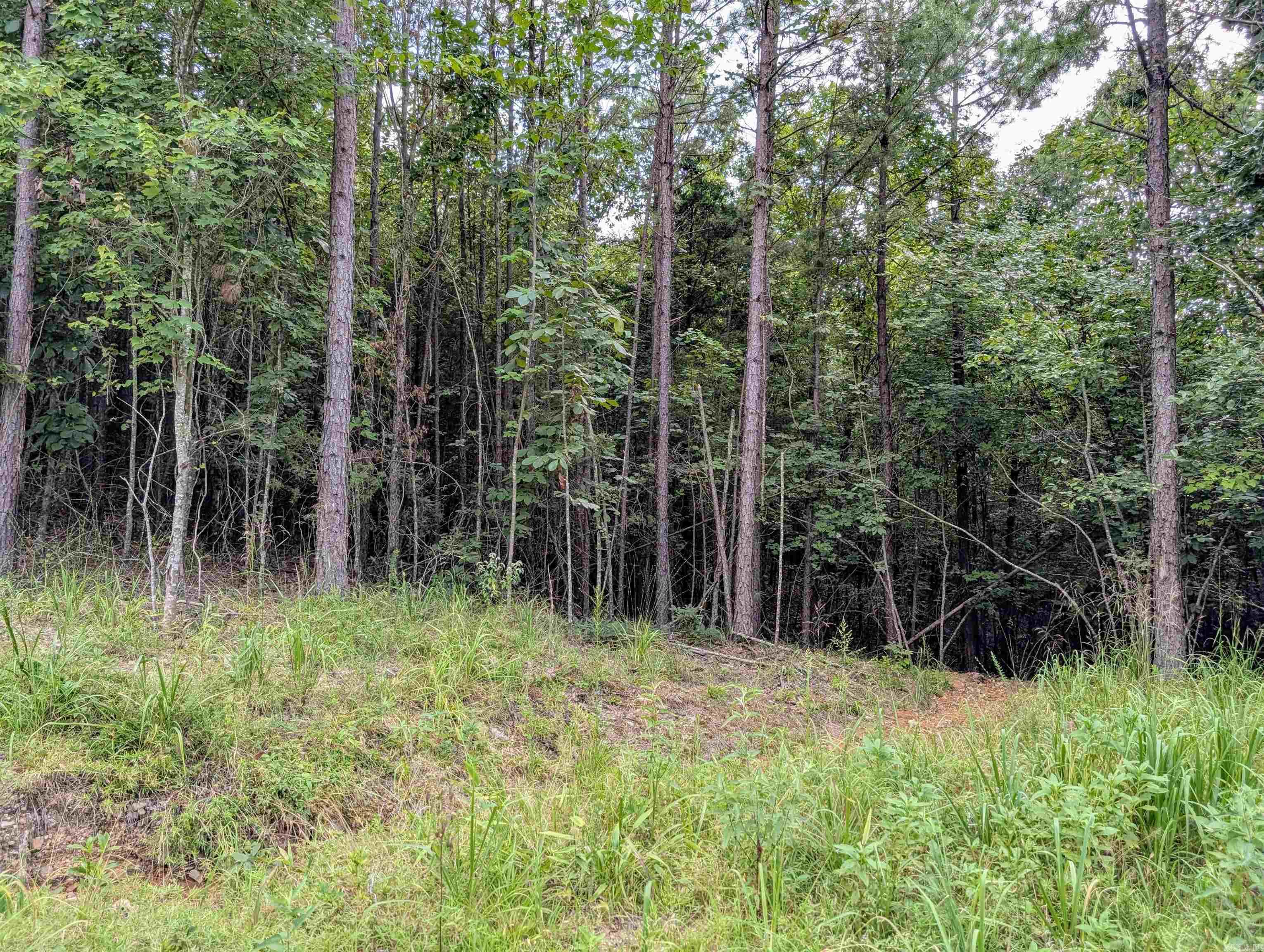 Lot 8 Polk Road 78 Property Photo 8