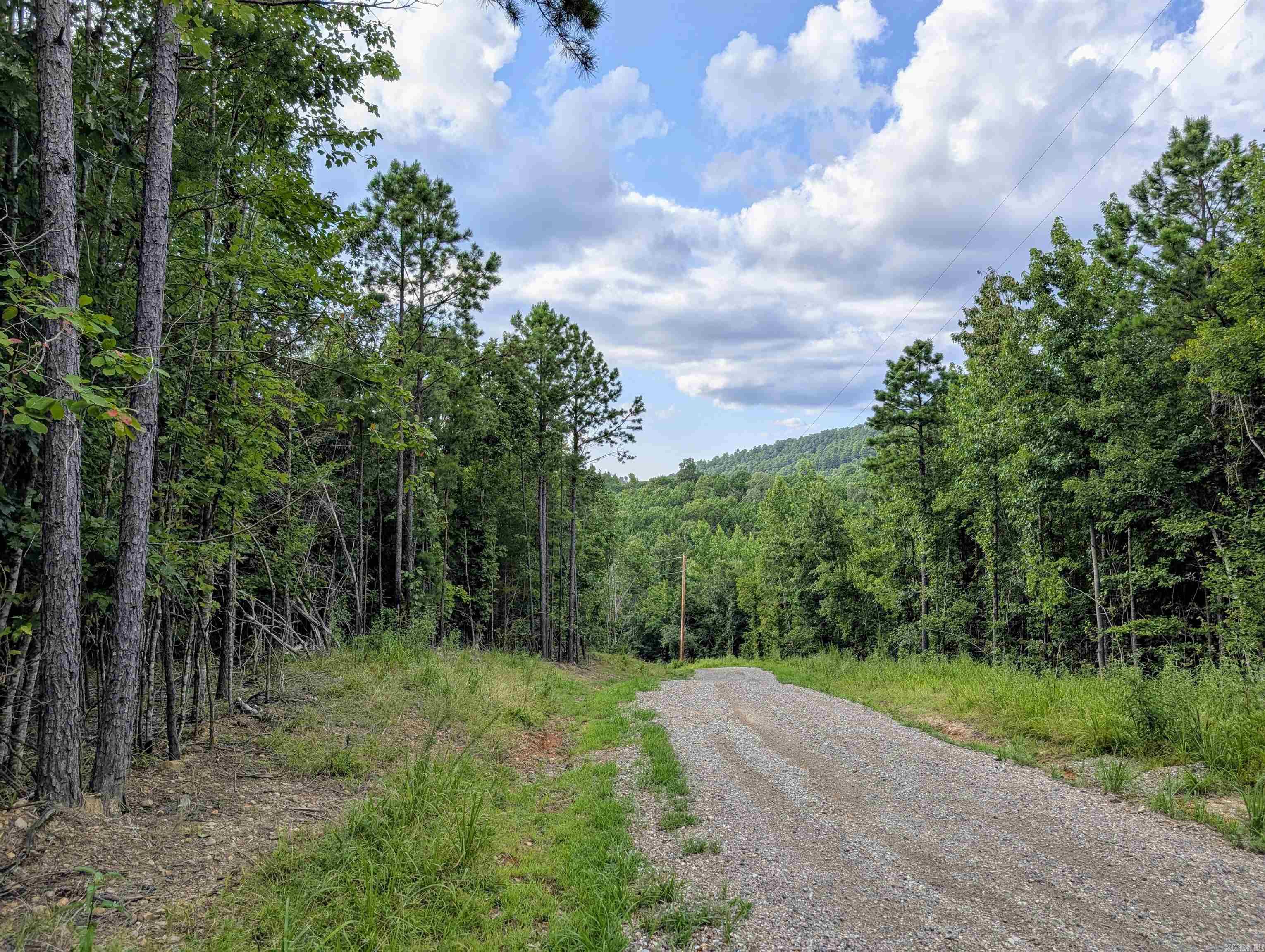 Lot 8 Polk Road 78 Property Photo 9