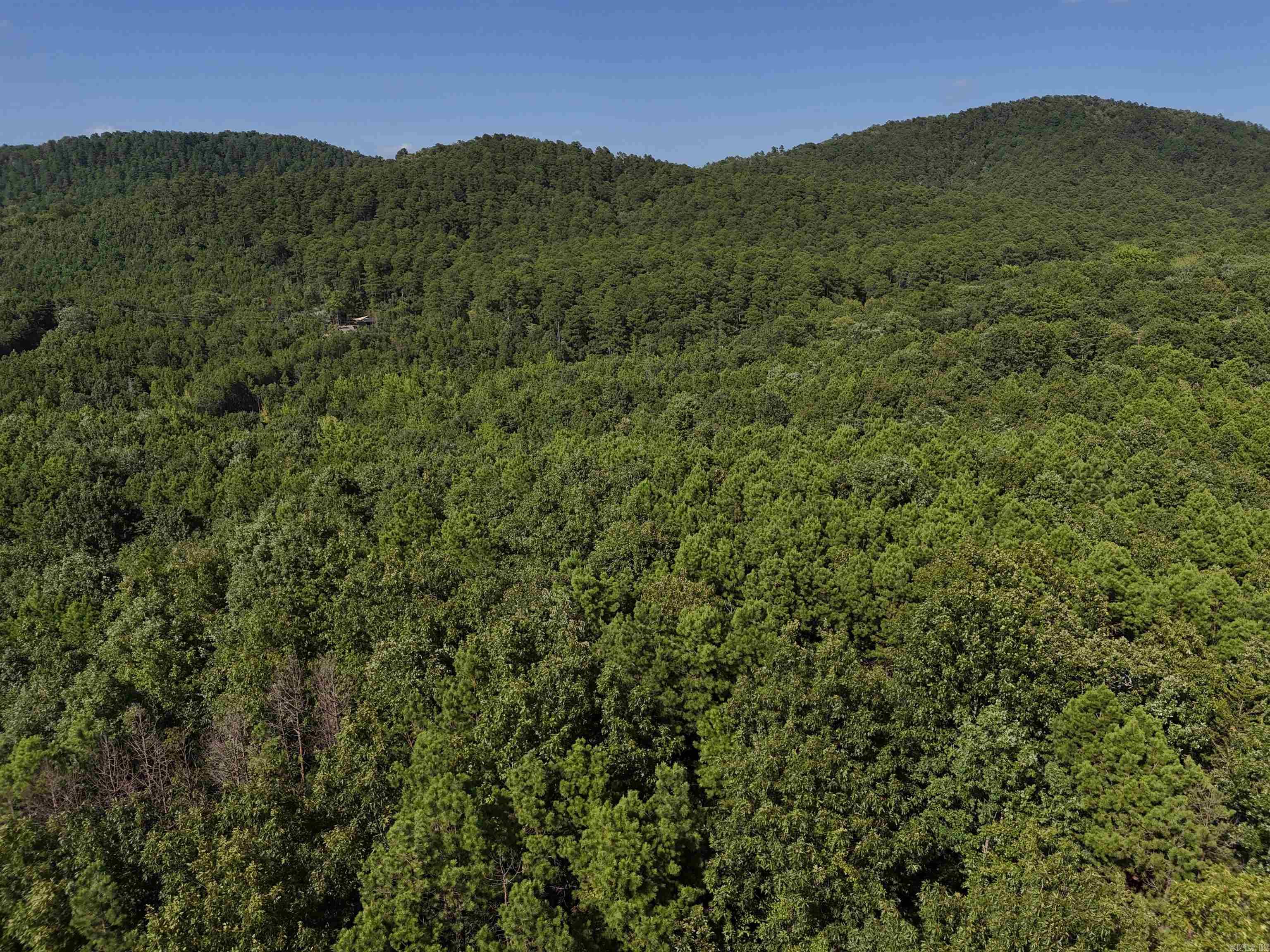 Lot 11 Polk Road 78 Property Photo 2