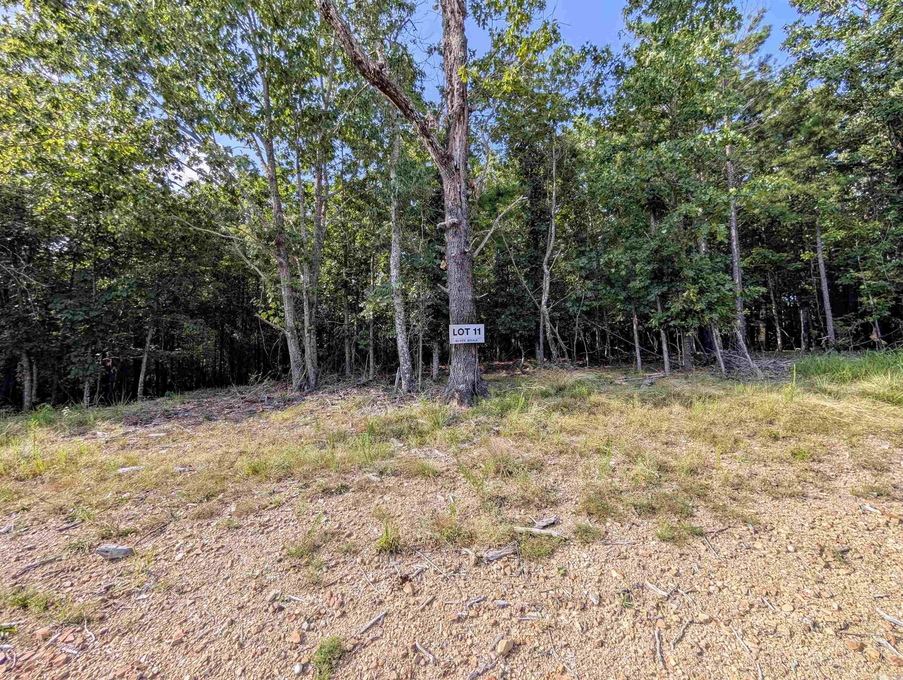 Lot 11 Polk Road 78 Property Photo 4