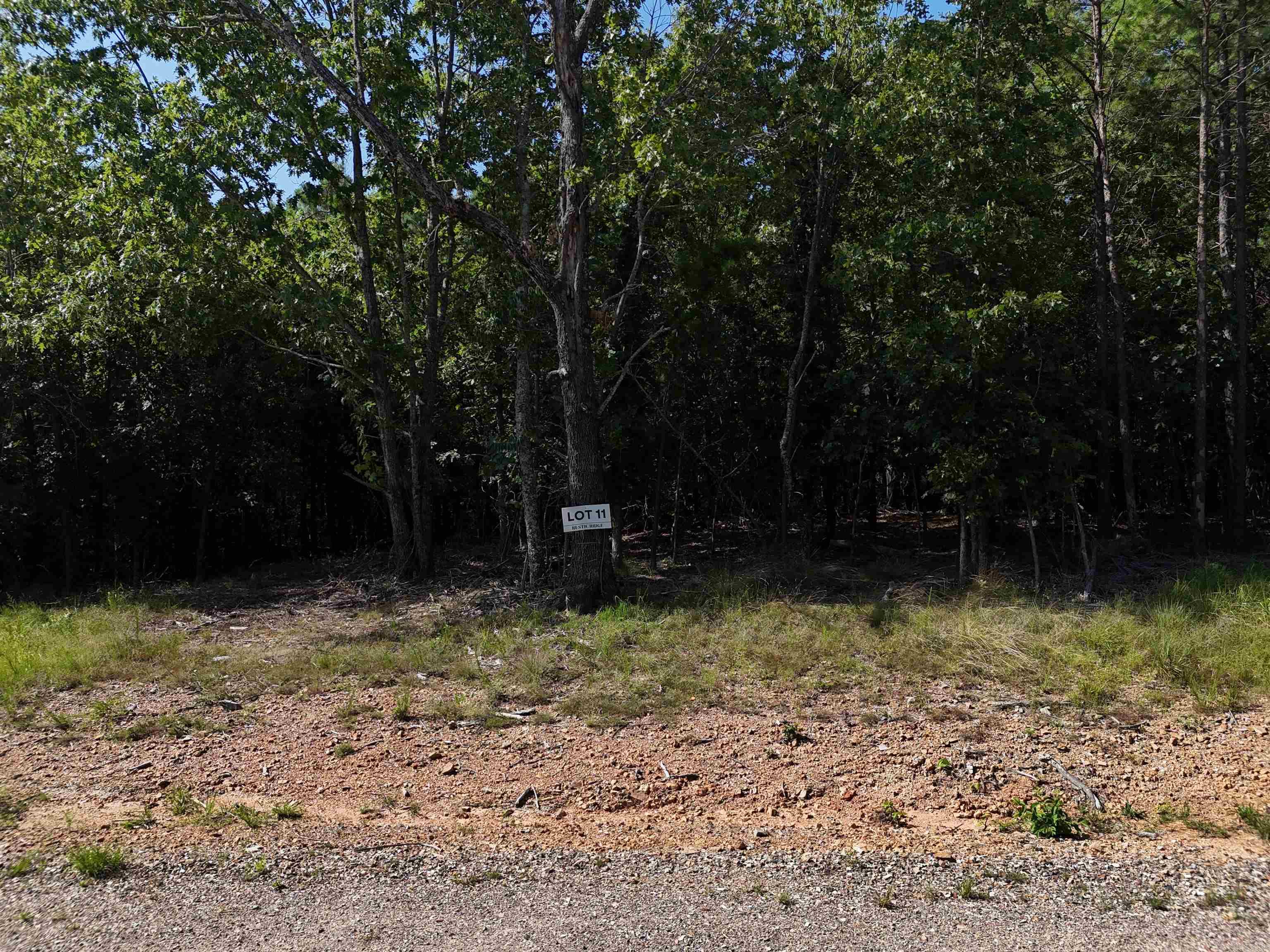 Lot 11 Polk Road 78 Property Photo 5