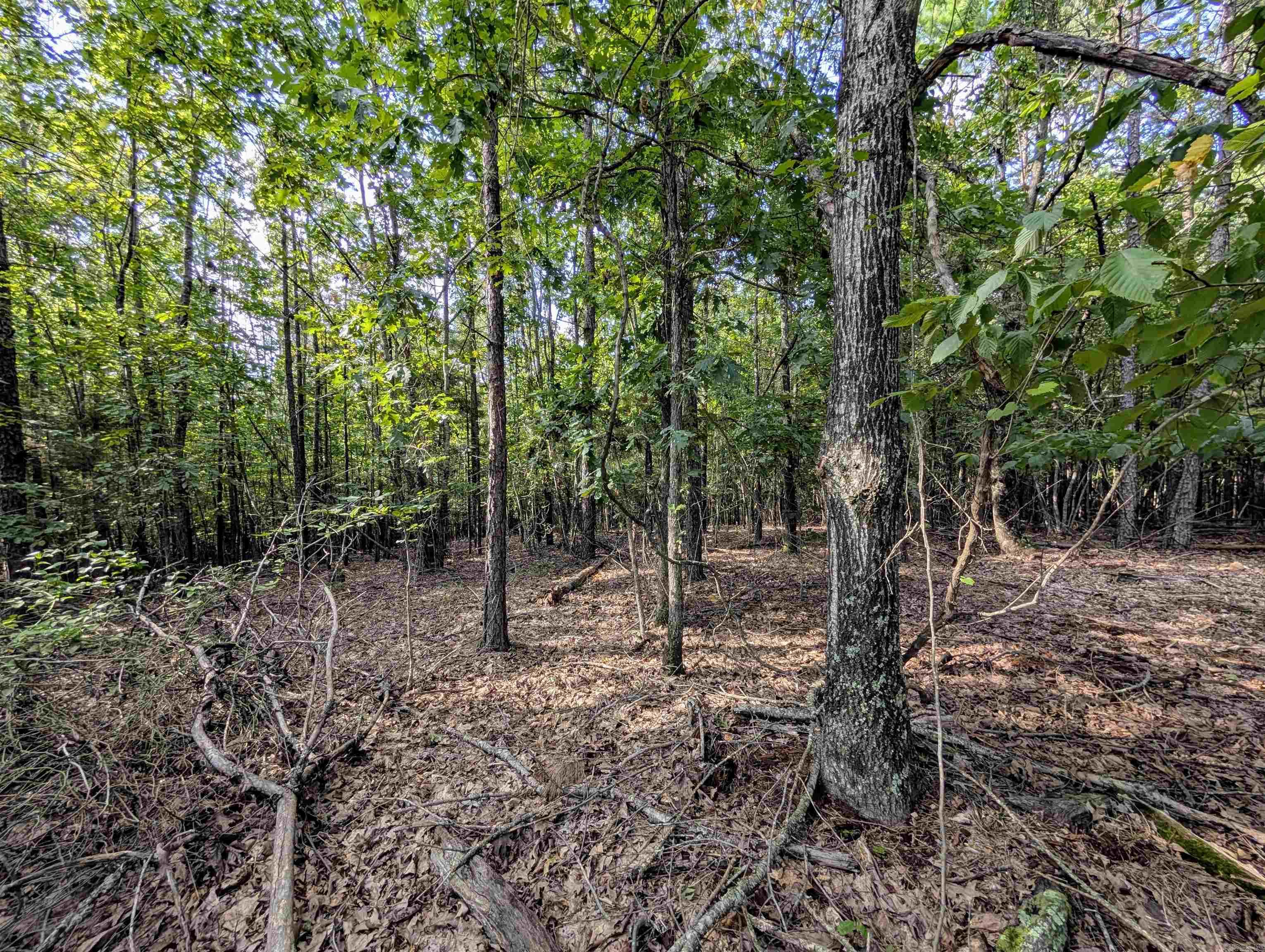 Lot 11 Polk Road 78 Property Photo 6