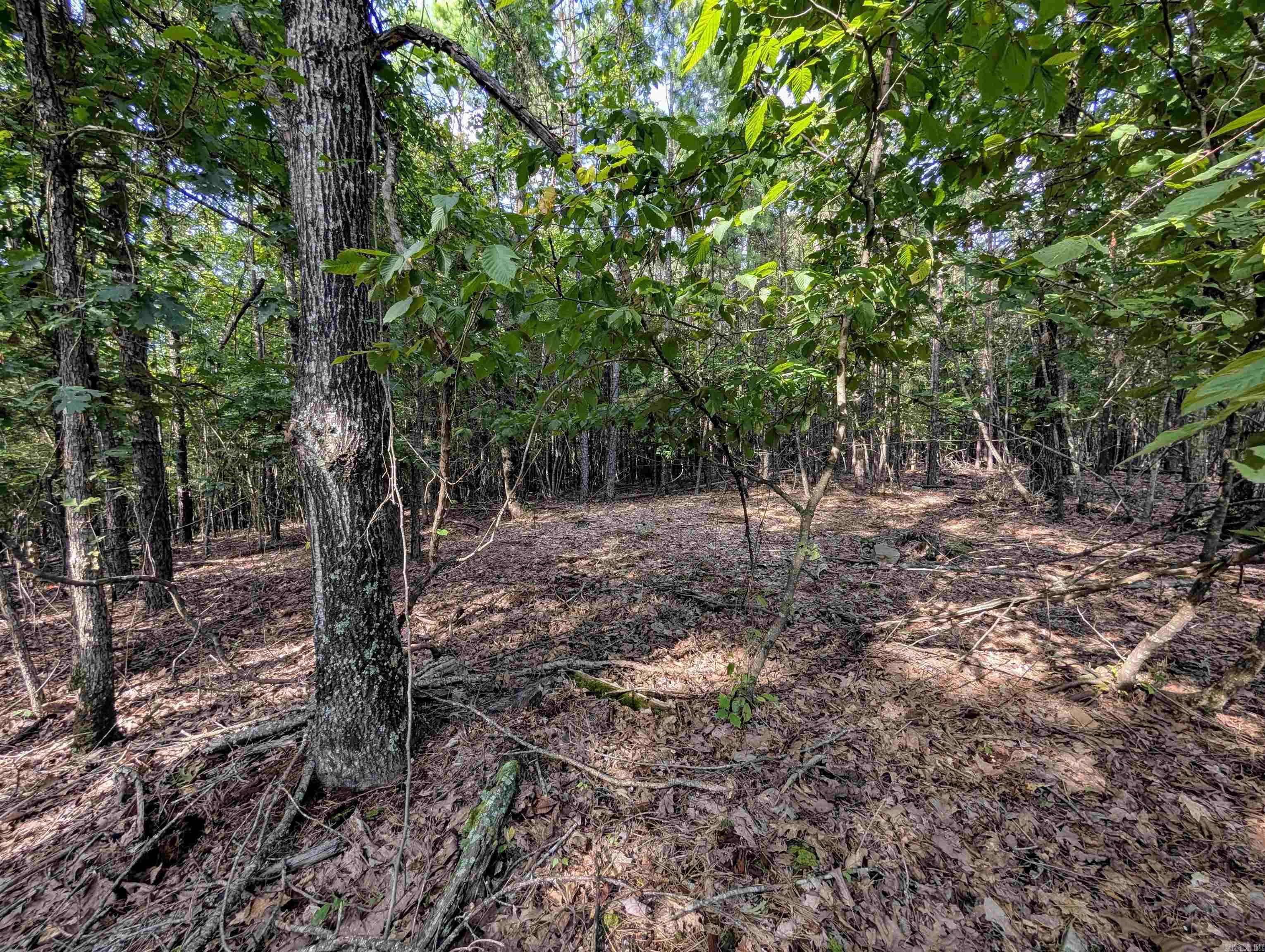 Lot 11 Polk Road 78 Property Photo 7