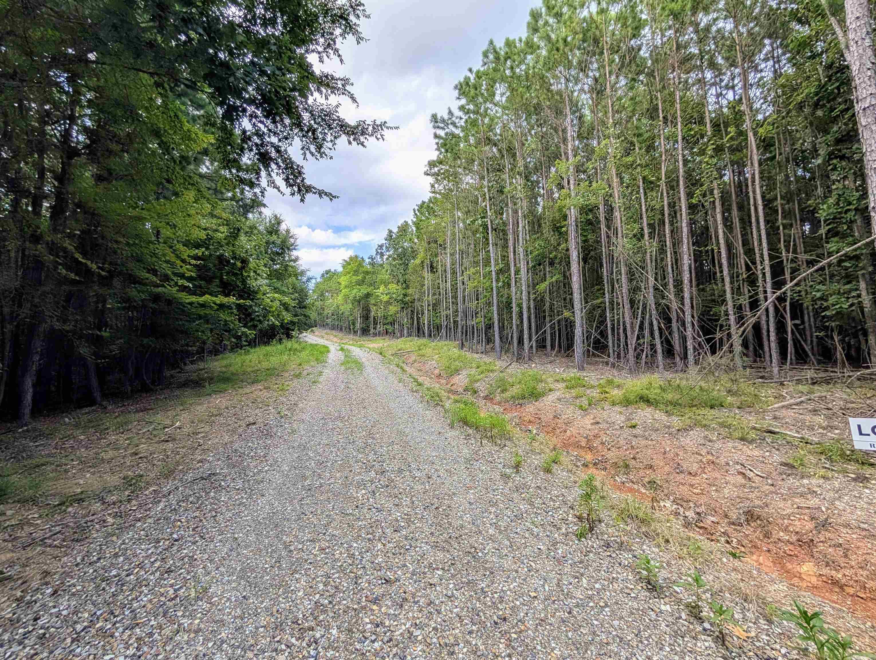 Lot 14 Polk Road 78 Property Photo 6