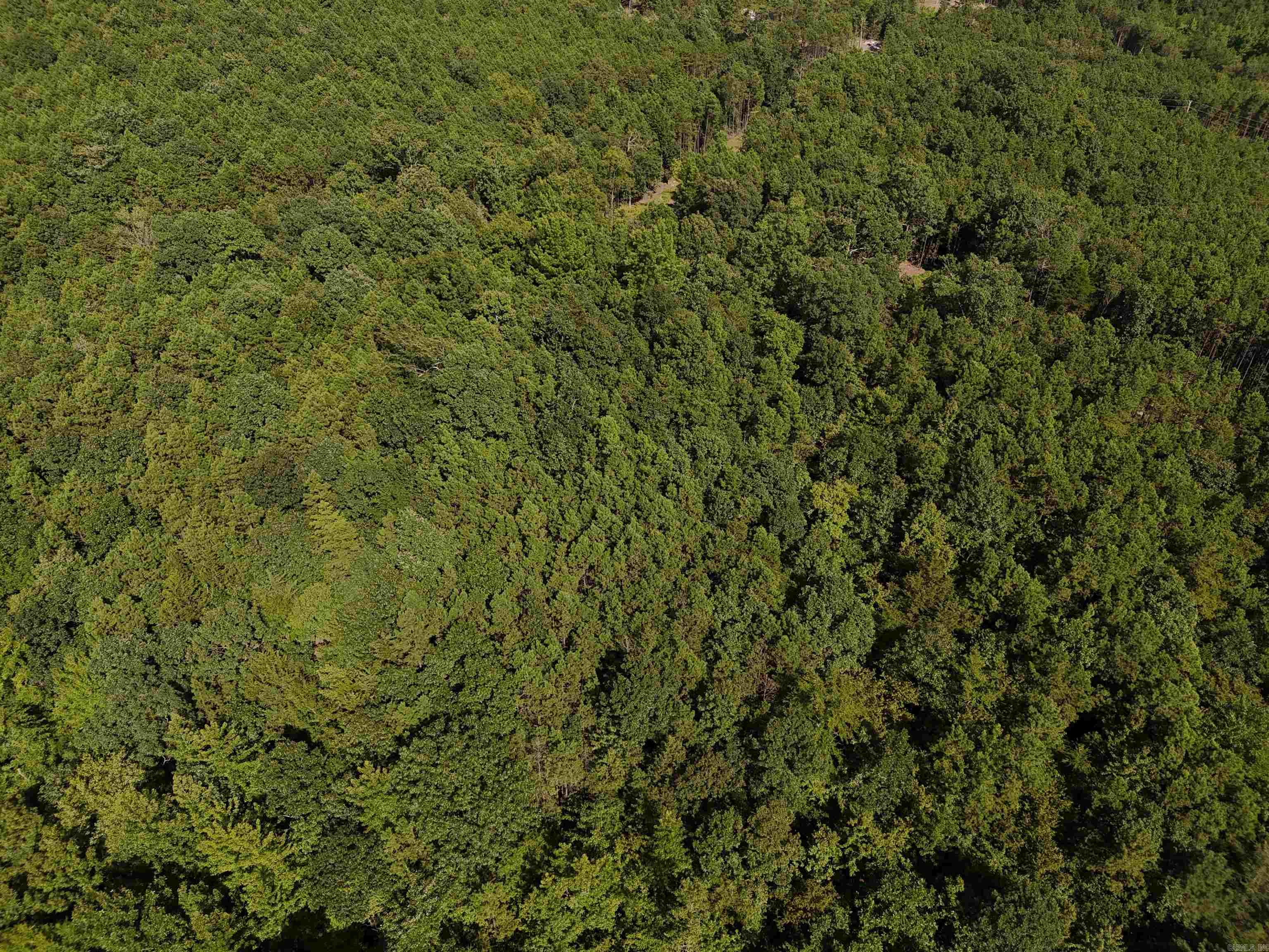 Lot 18 Polk Road 78 Property Photo 2