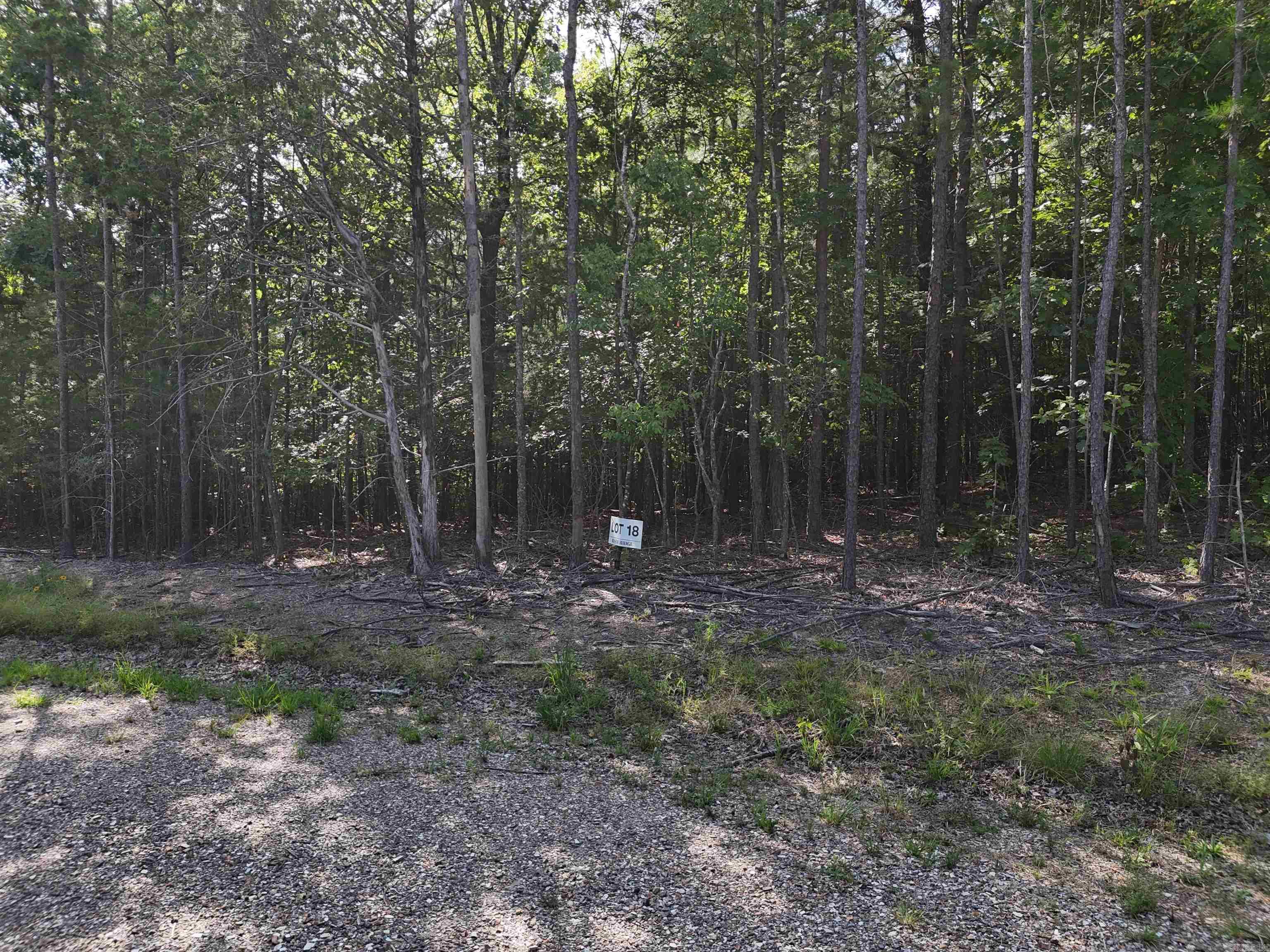 Lot 18 Polk Road 78 Property Photo 4