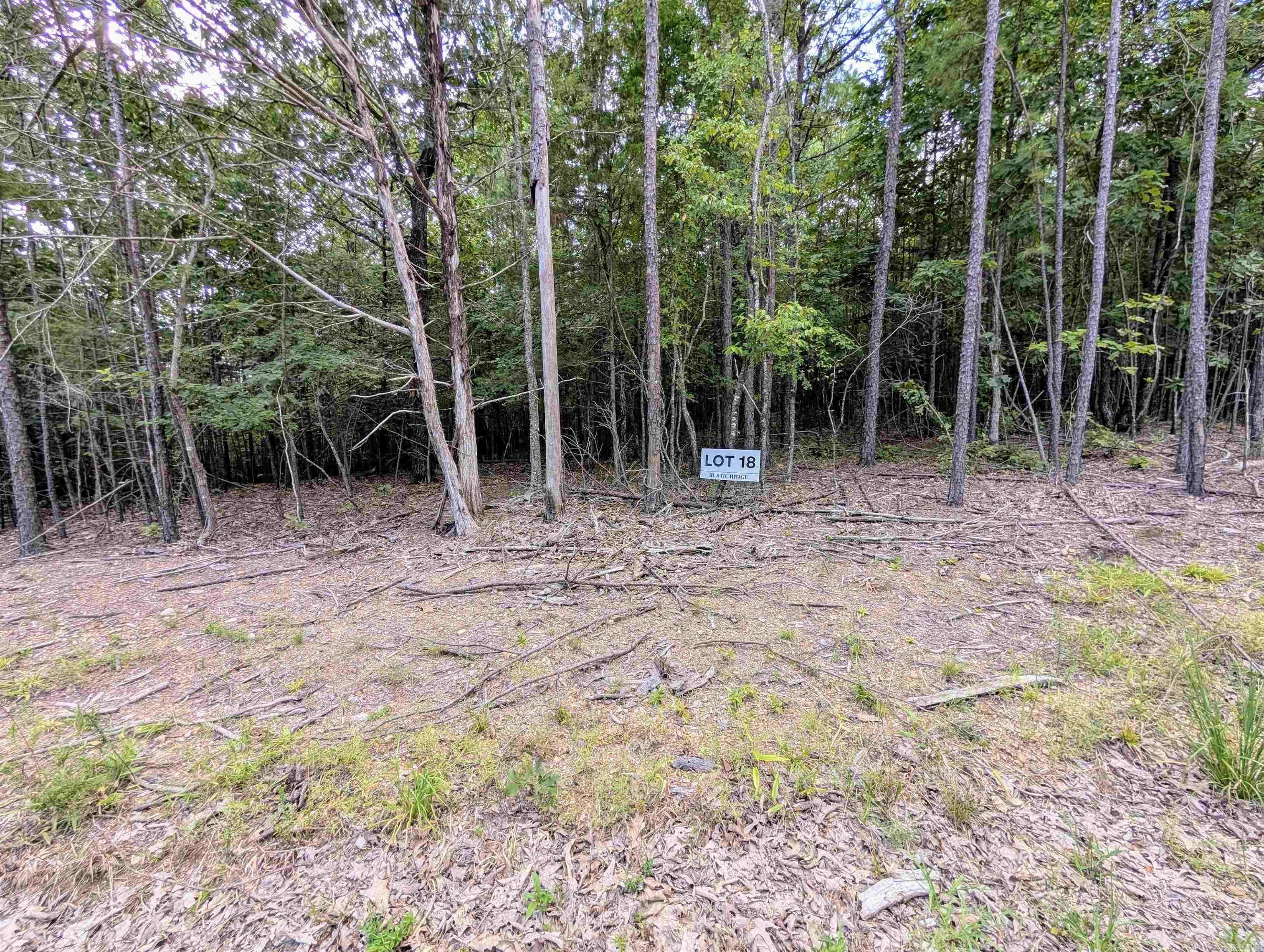 Lot 18 Polk Road 78 Property Photo 5