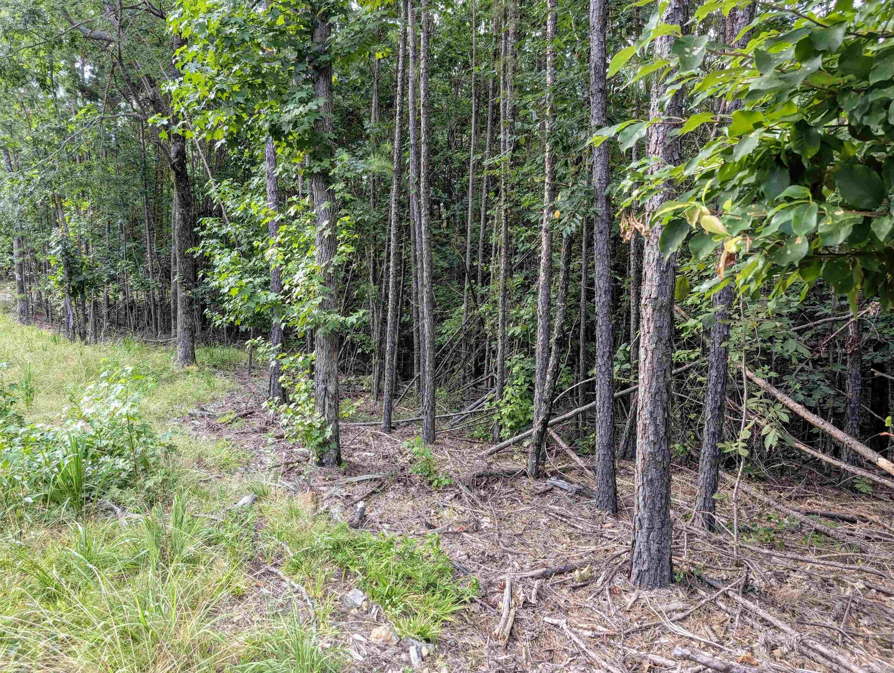 Lot 18 Polk Road 78 Property Photo 6