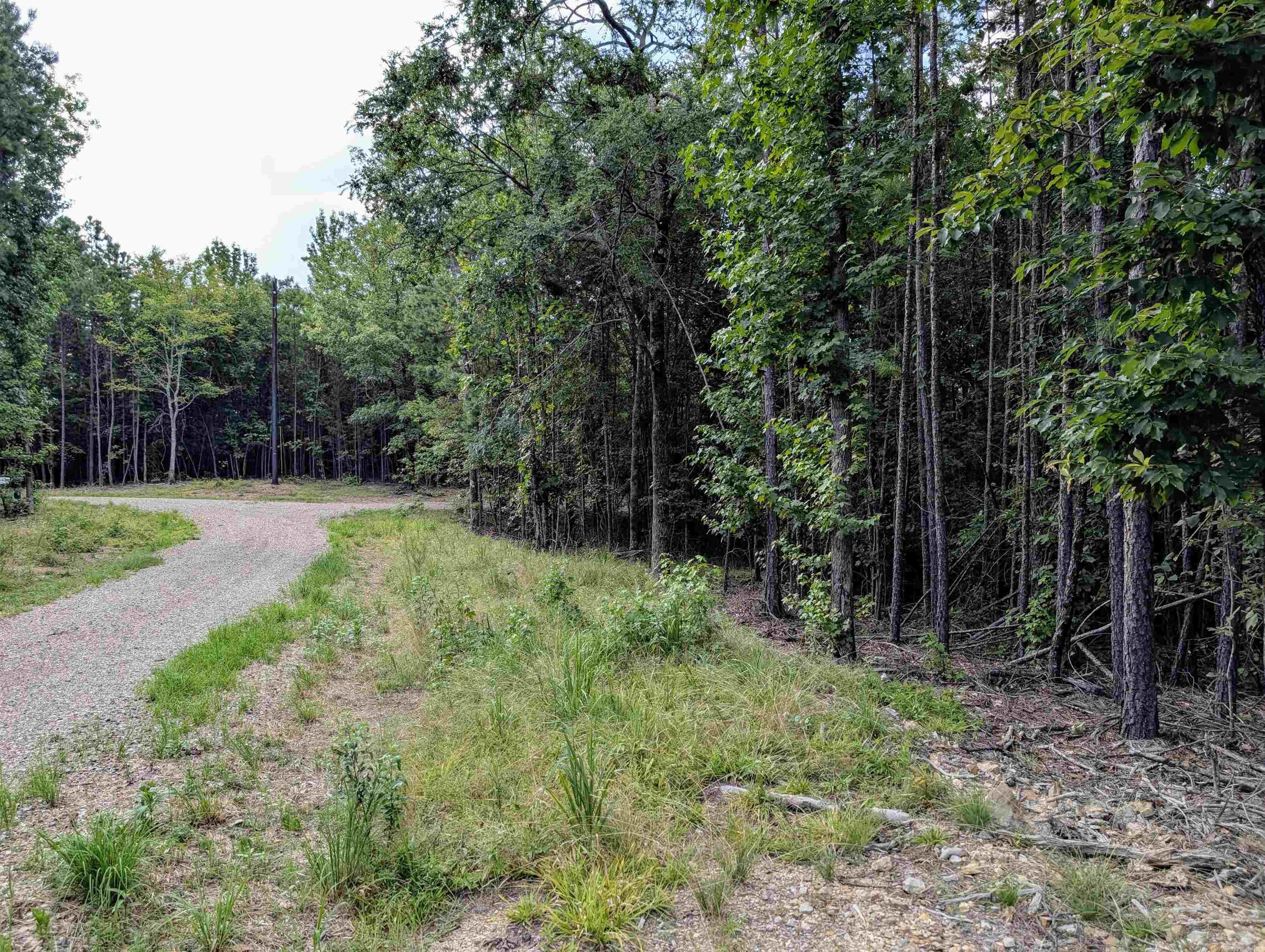 Lot 18 Polk Road 78 Property Photo 7