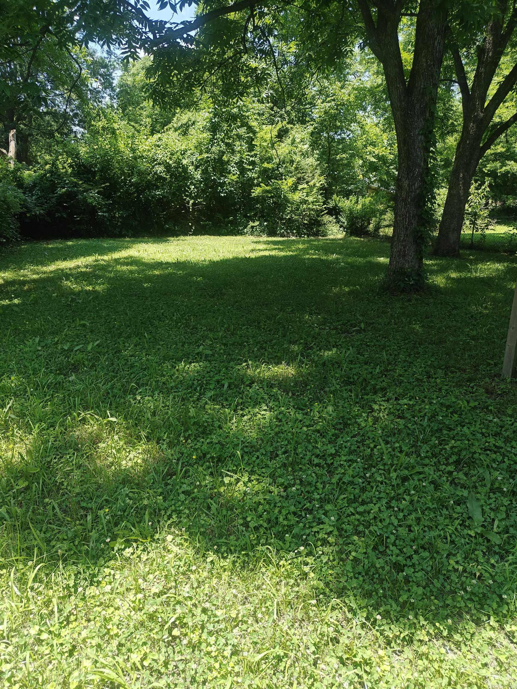 915 N E Street Property Photo 2