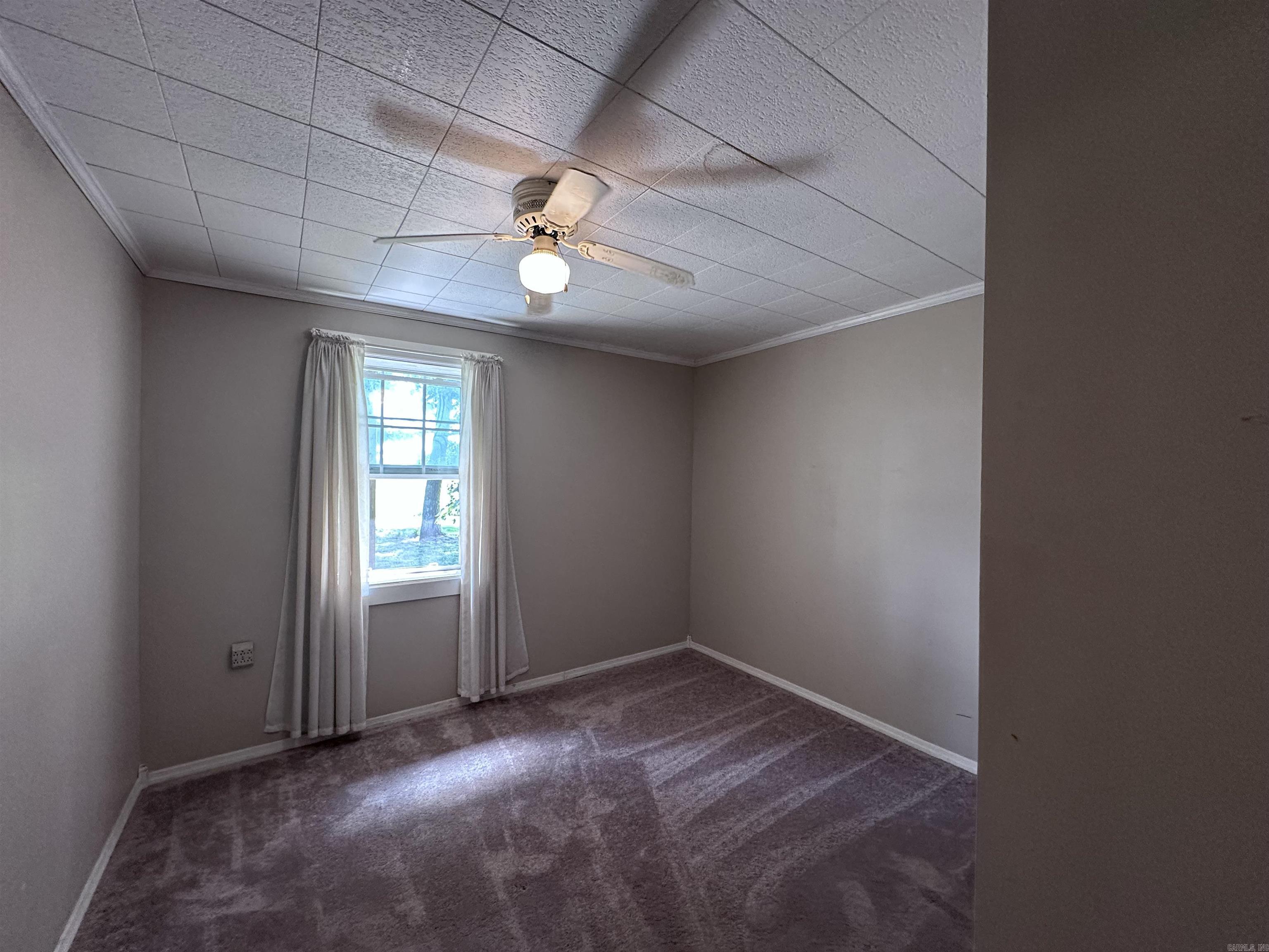164 Clay 474 Road Property Photo 16