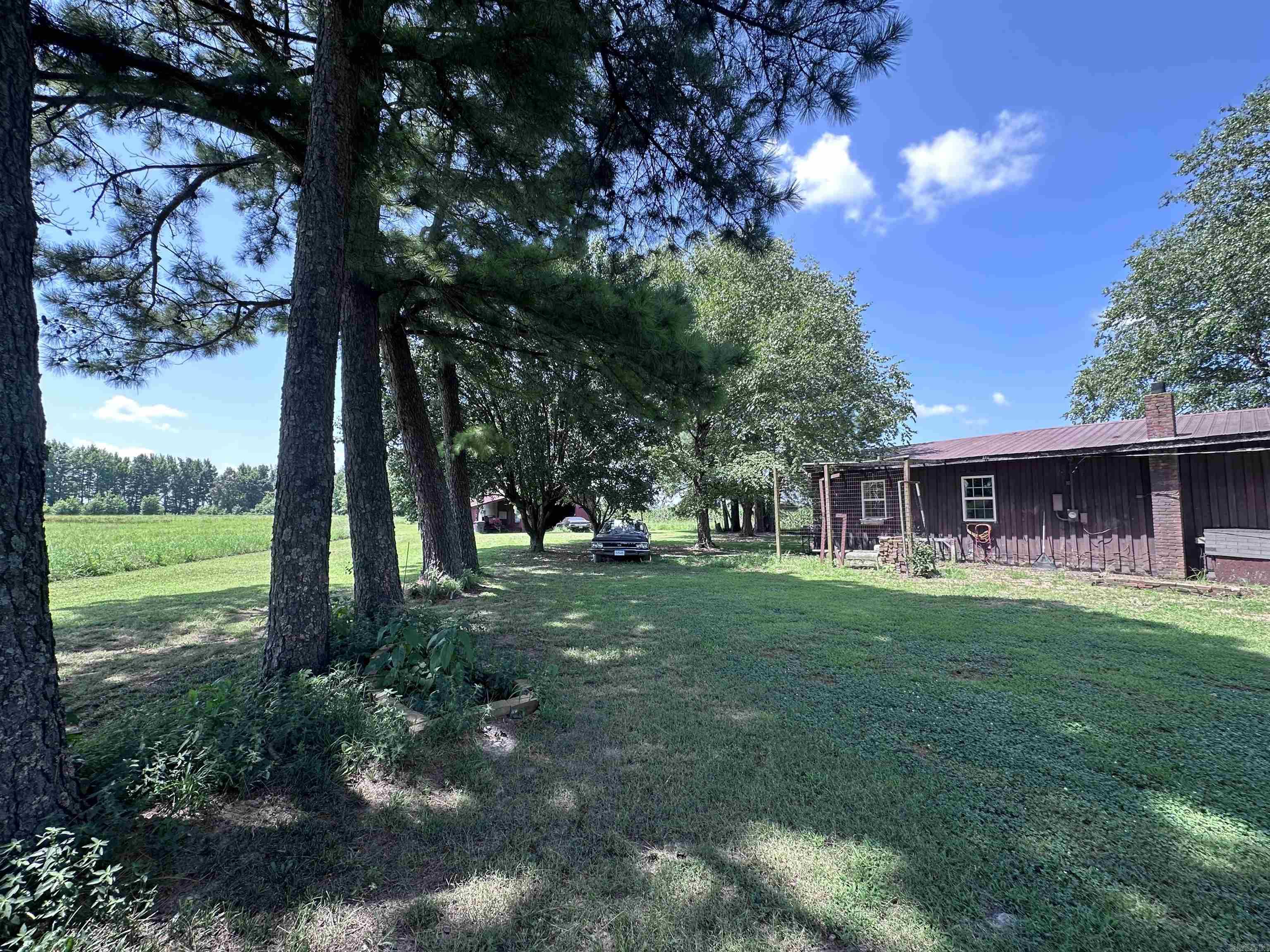 164 Clay 474 Road Property Photo 18