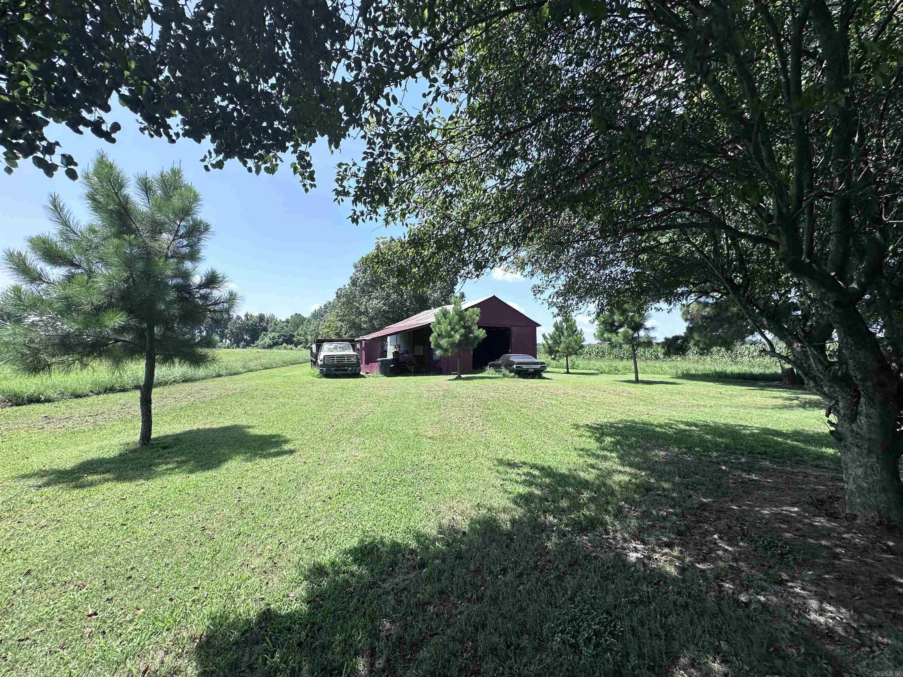 164 Clay 474 Road Property Photo 27