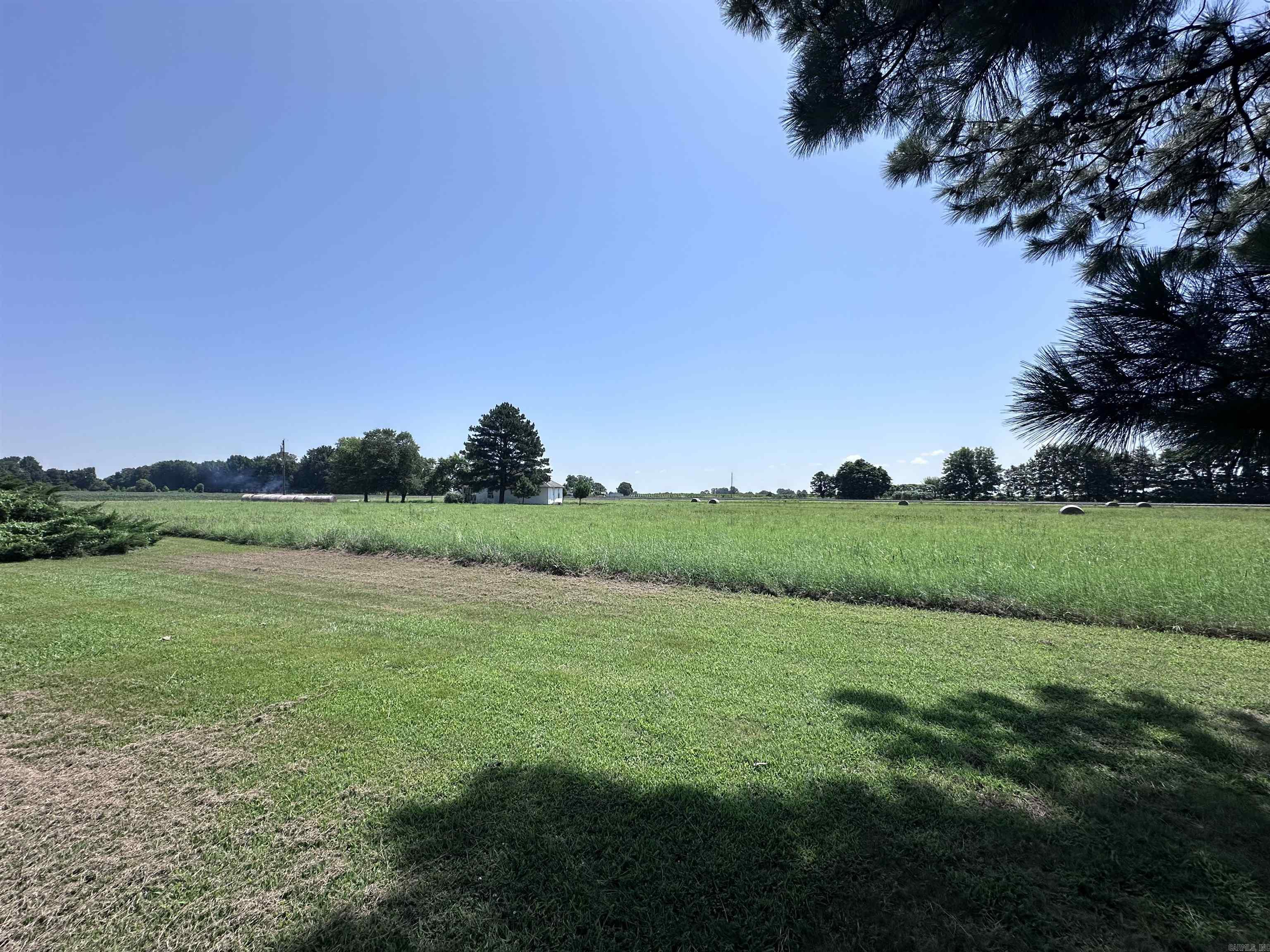 164 Clay 474 Road Property Photo 31