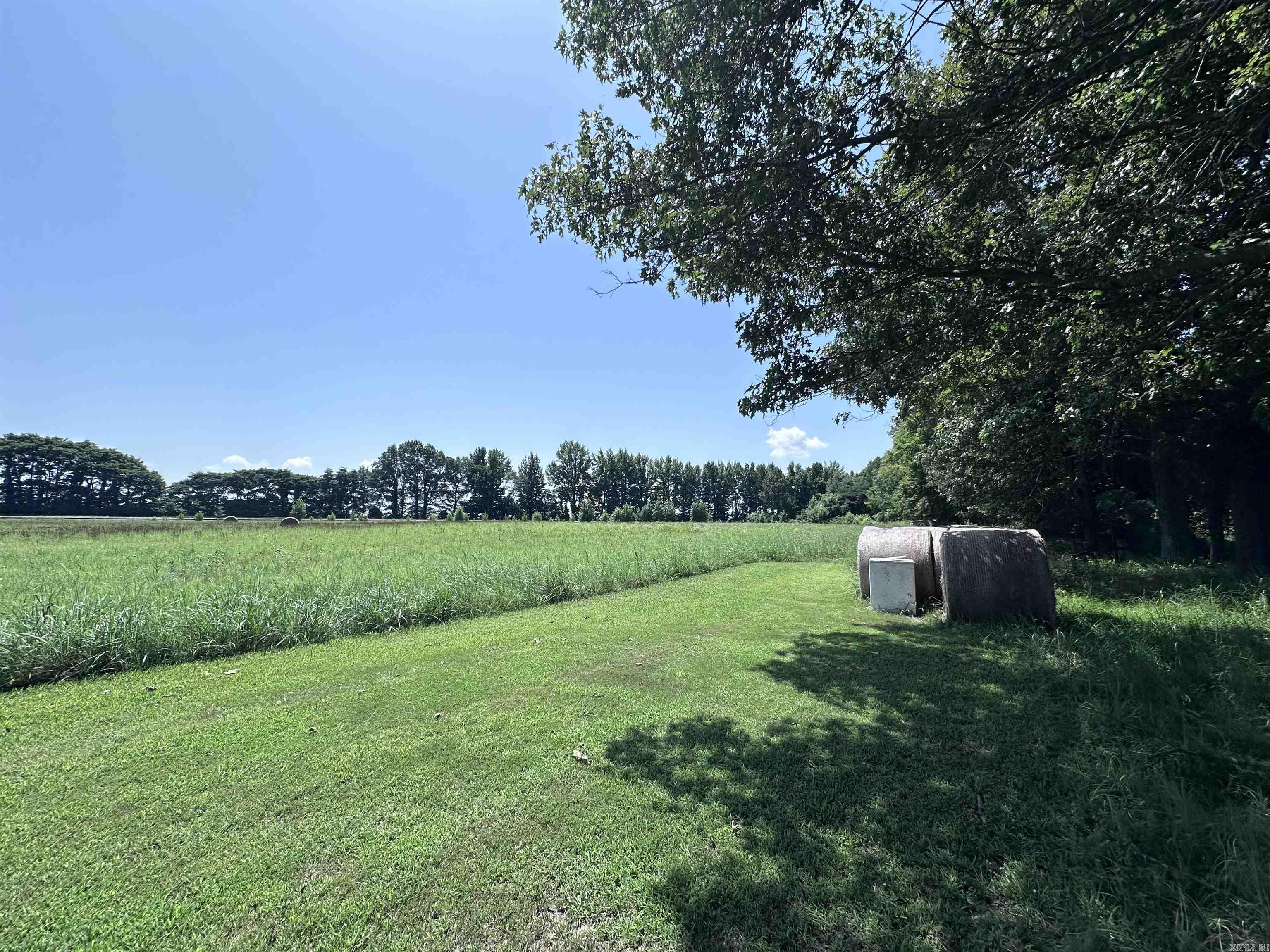164 Clay 474 Road Property Photo 32