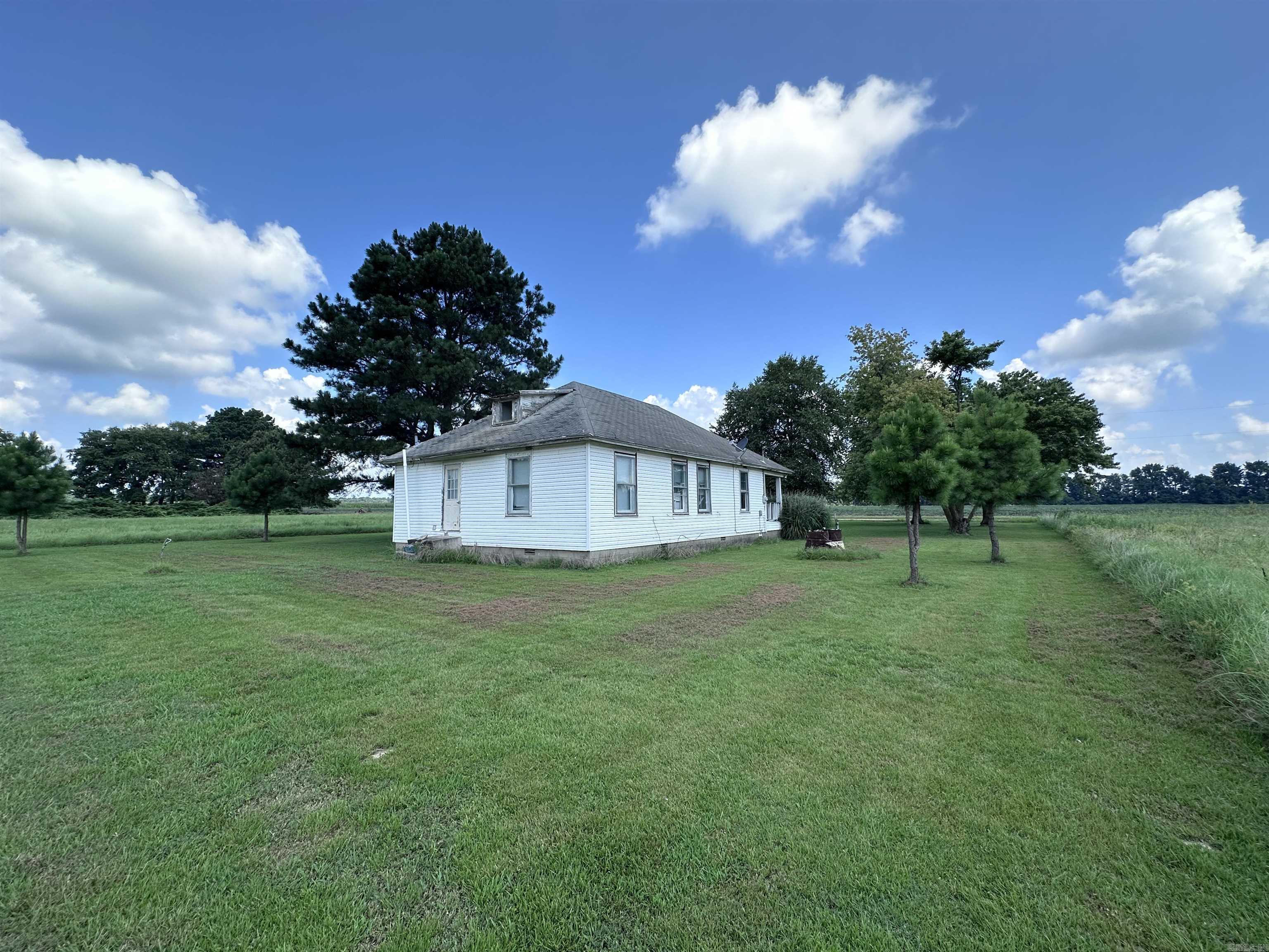 164 Clay 474 Road Property Photo 48