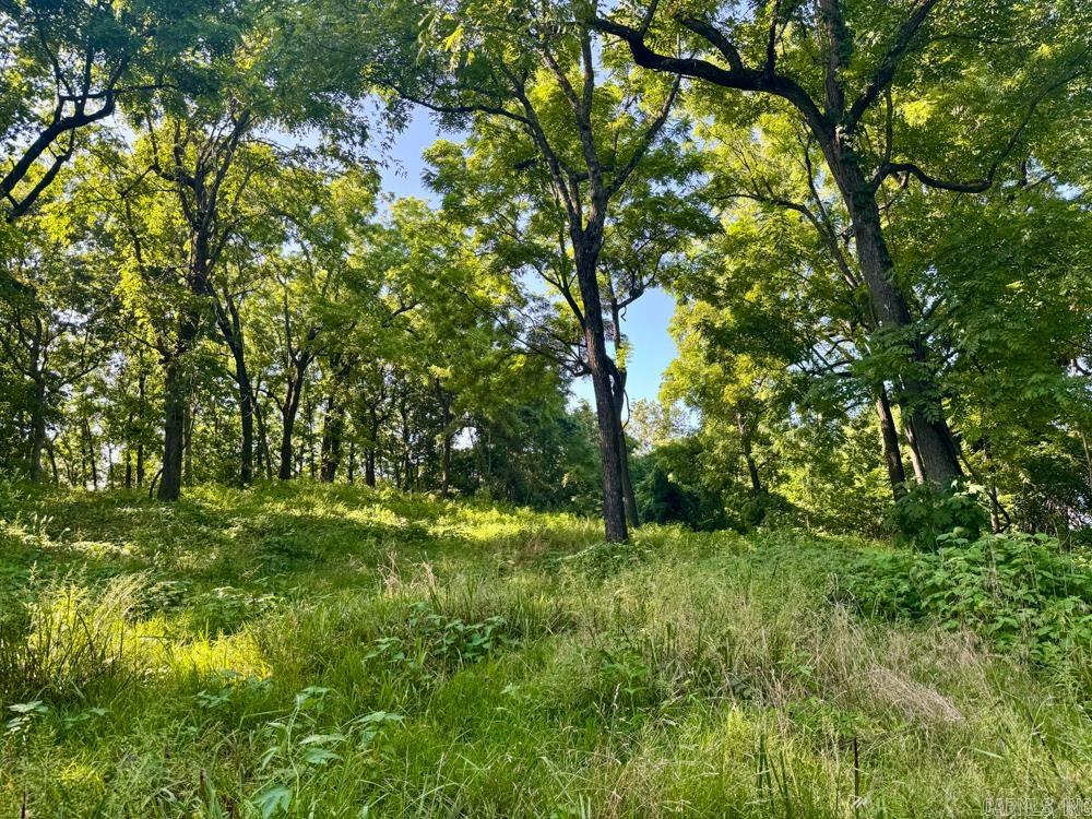 001 9 Highway Property Photo 12