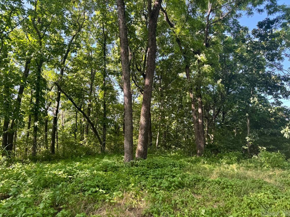 001 9 Highway Property Photo 13
