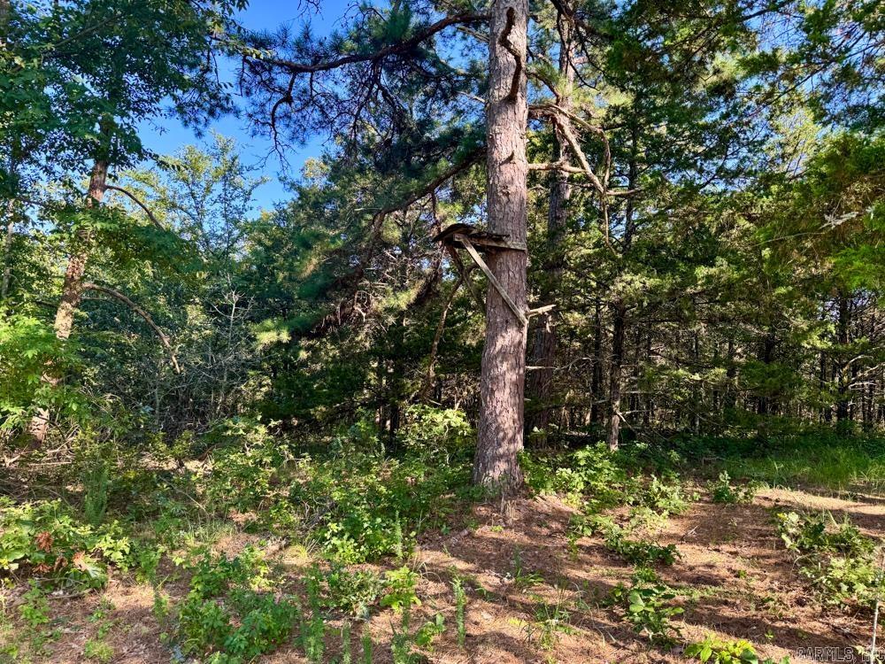 001 9 Highway Property Photo 26
