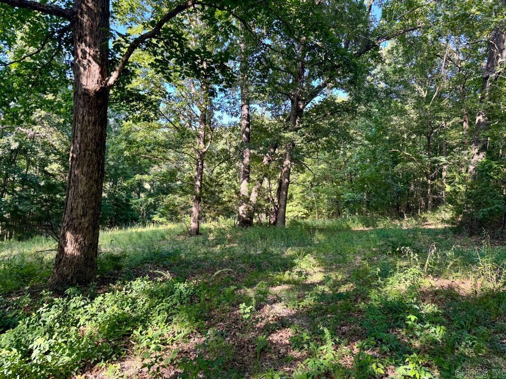 001 9 Highway Property Photo 41