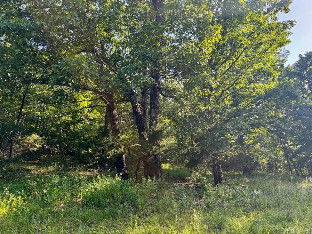 001 9 Highway Property Photo 42