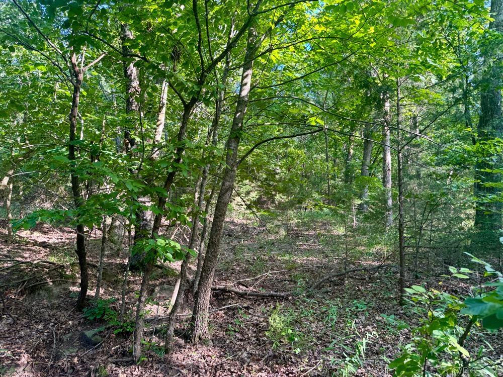 001 9 Highway Property Photo 43