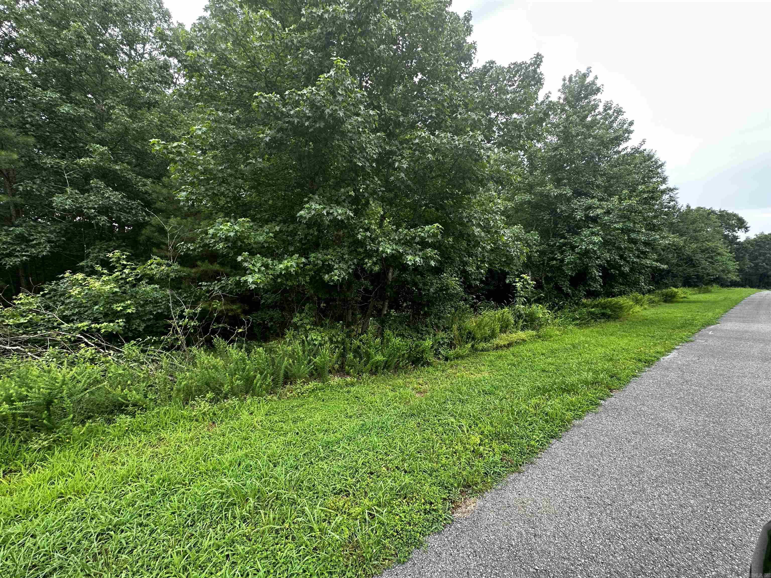 Lot 72 Cobalt Bay Drive Property Photo 1