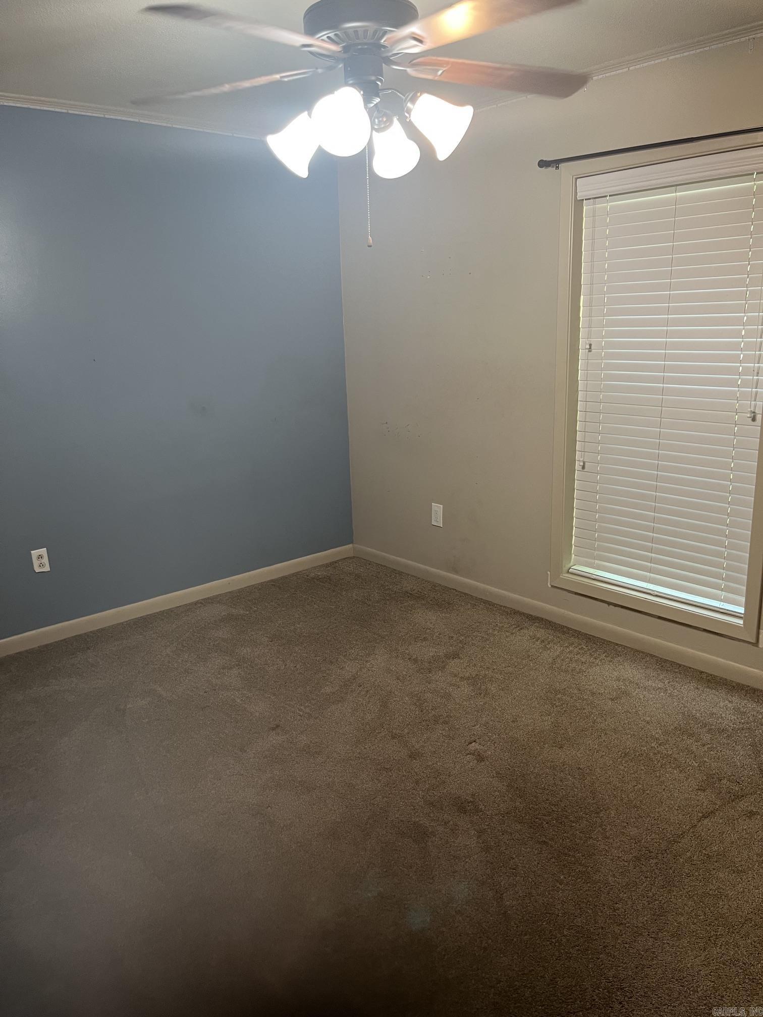 25030281 Property Photo 8
