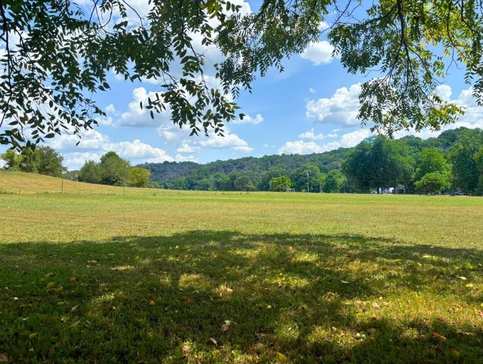 Griffin Block 2, Lot 2 Road Property Photo 6