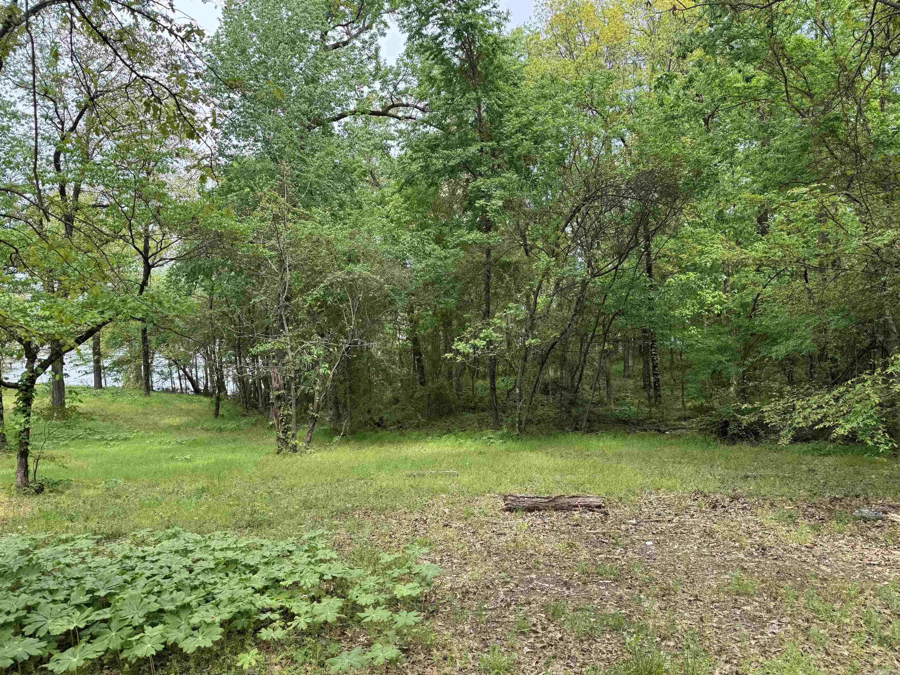 Tract 1 East Bay Road Property Photo 17