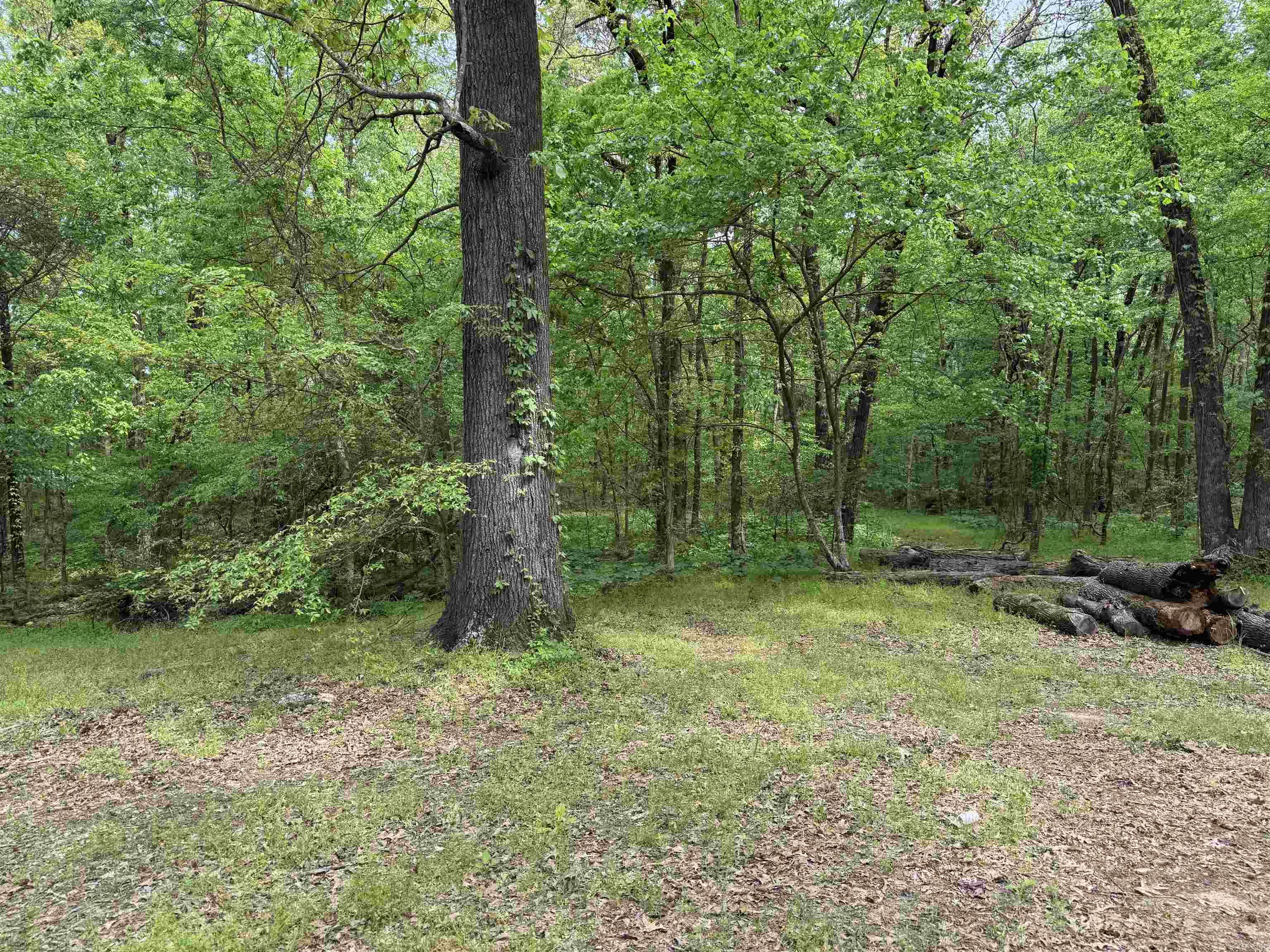 Tract 1 East Bay Road Property Photo 18