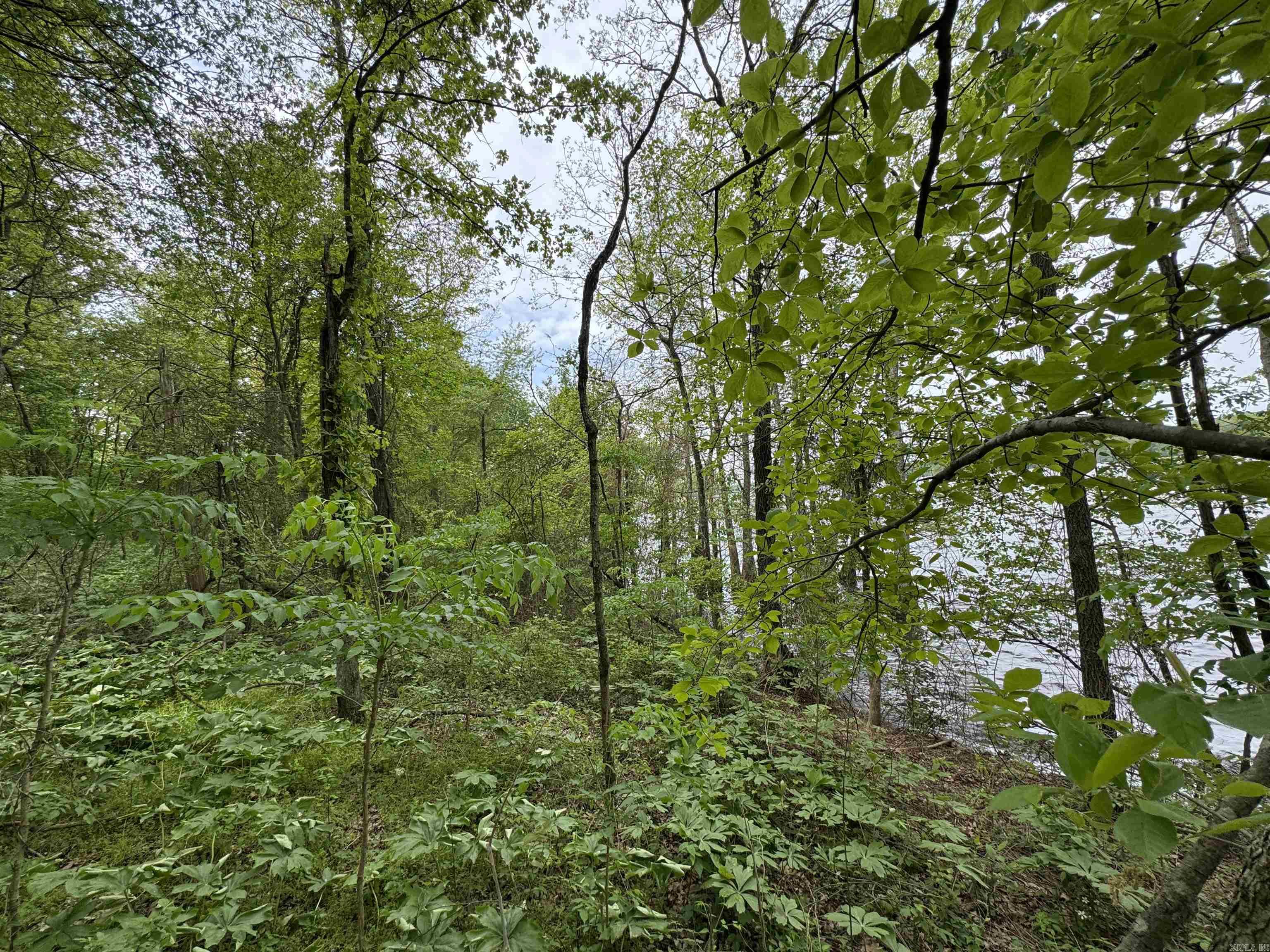 Tract 1 East Bay Road Property Photo 35