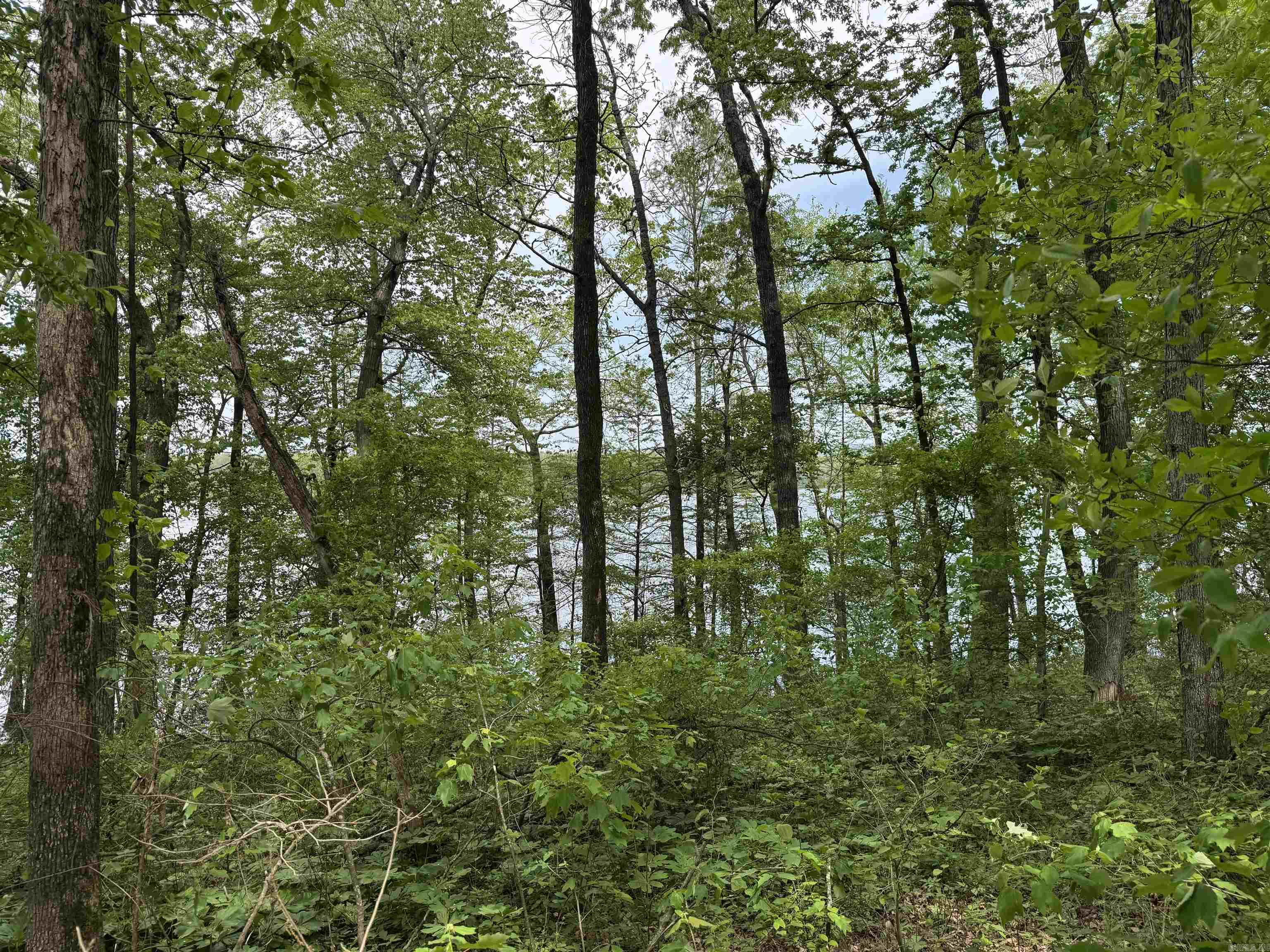 Tract 1 East Bay Road Property Photo 38