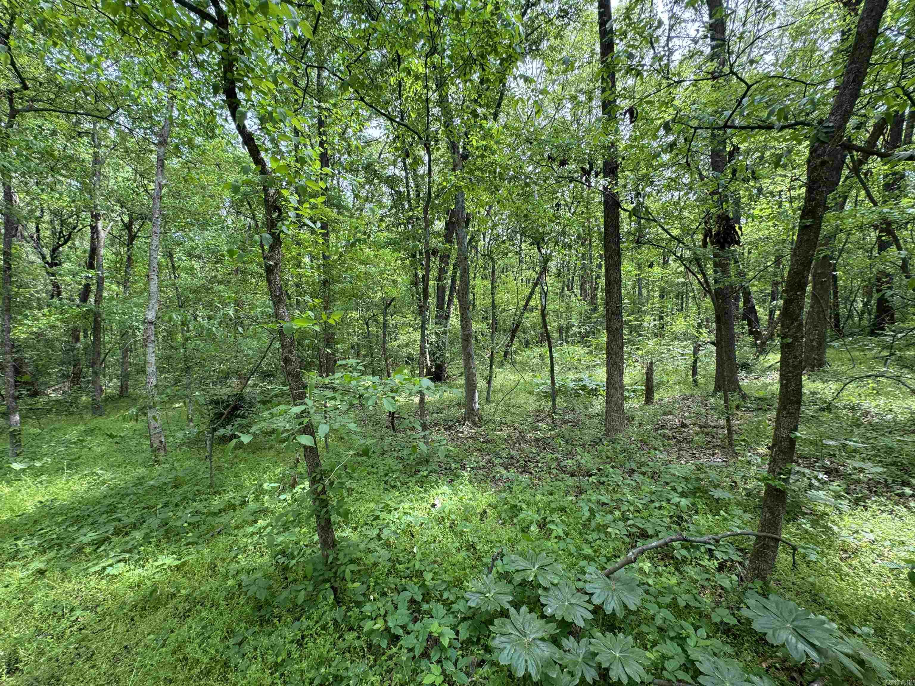 Tract 1 East Bay Road Property Photo 43