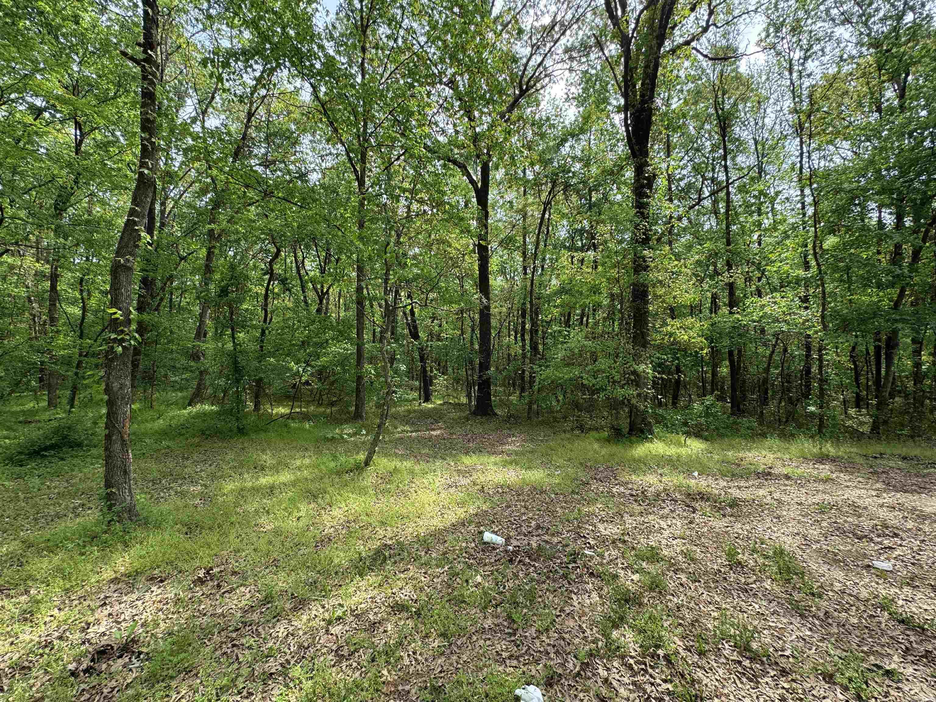 Tract 1 East Bay Road Property Photo 47