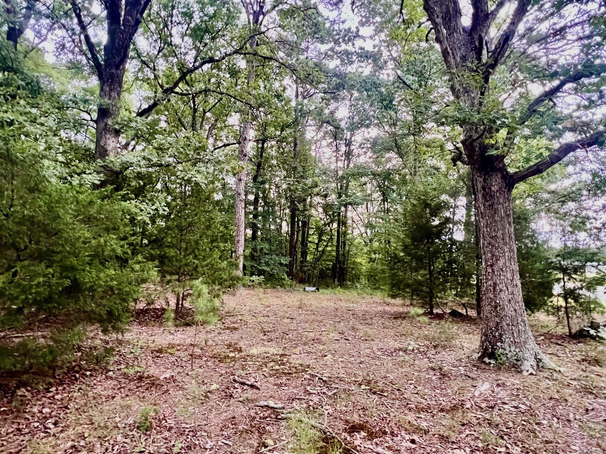 3348 Hwy 71 S Property Photo 5