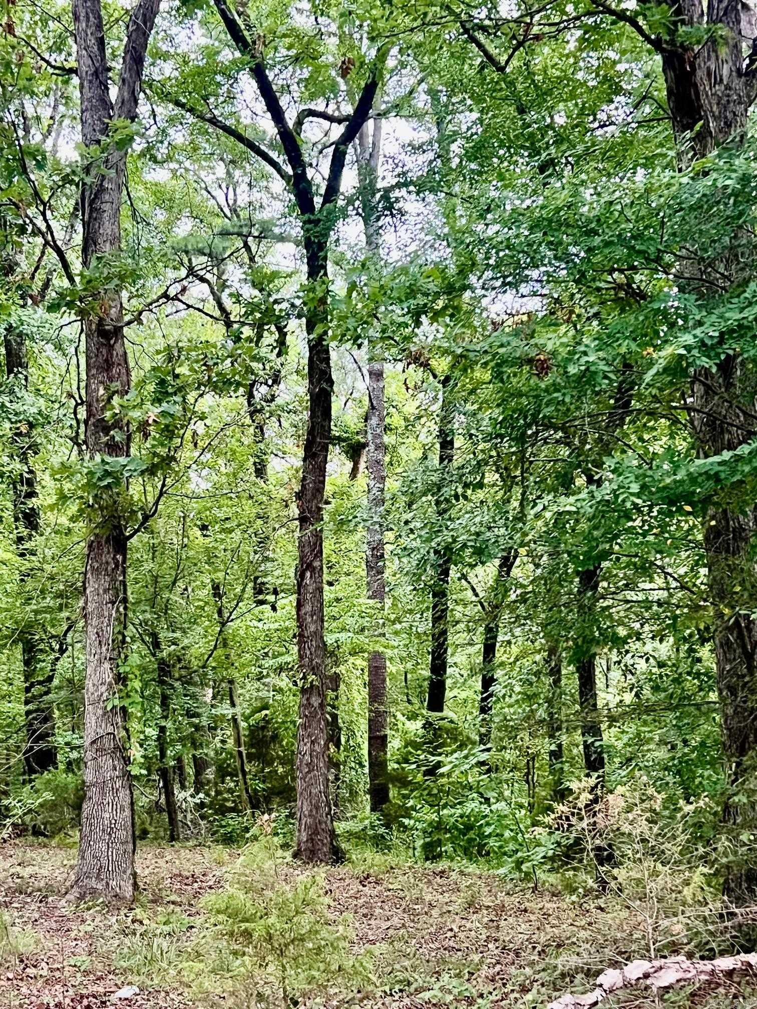 3348 Hwy 71 S Property Photo 6