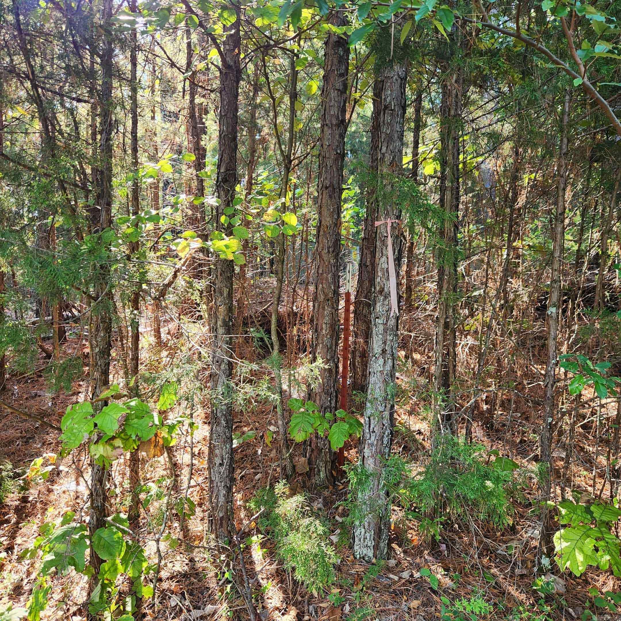 Arapaho Dr Property Photo 5