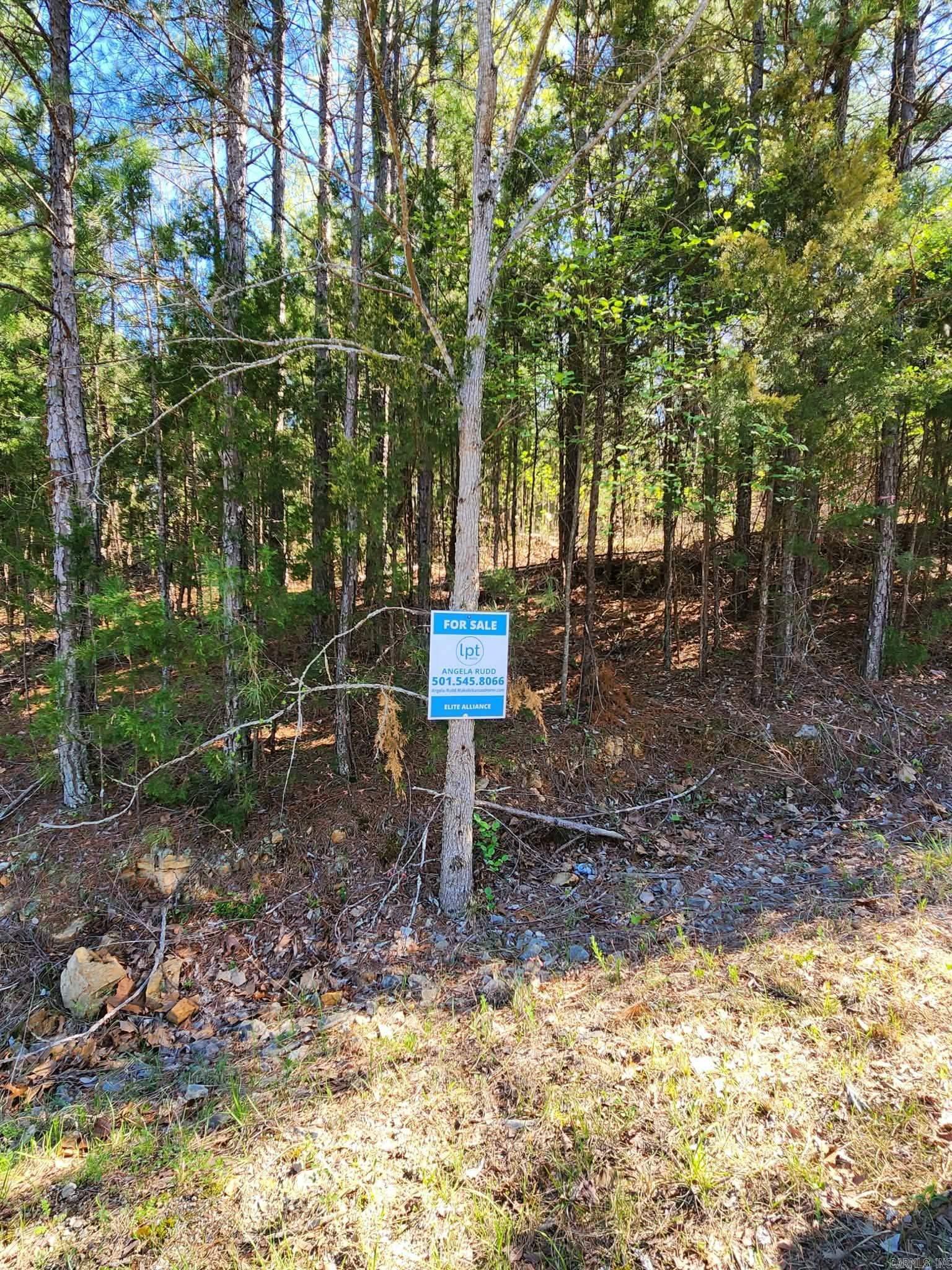 Arapaho Dr Property Photo 6
