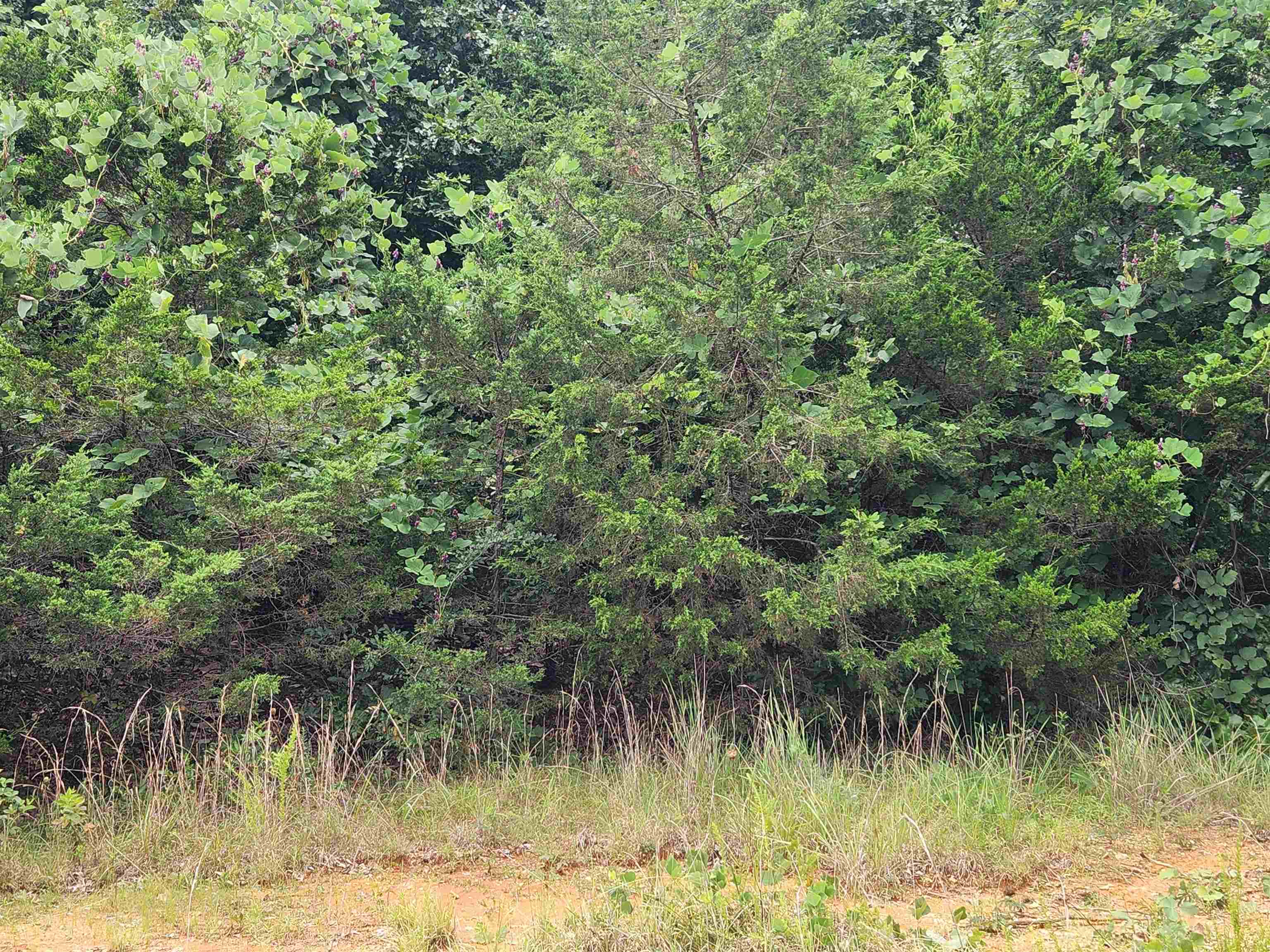 702 Dixie Circle Property Photo 2