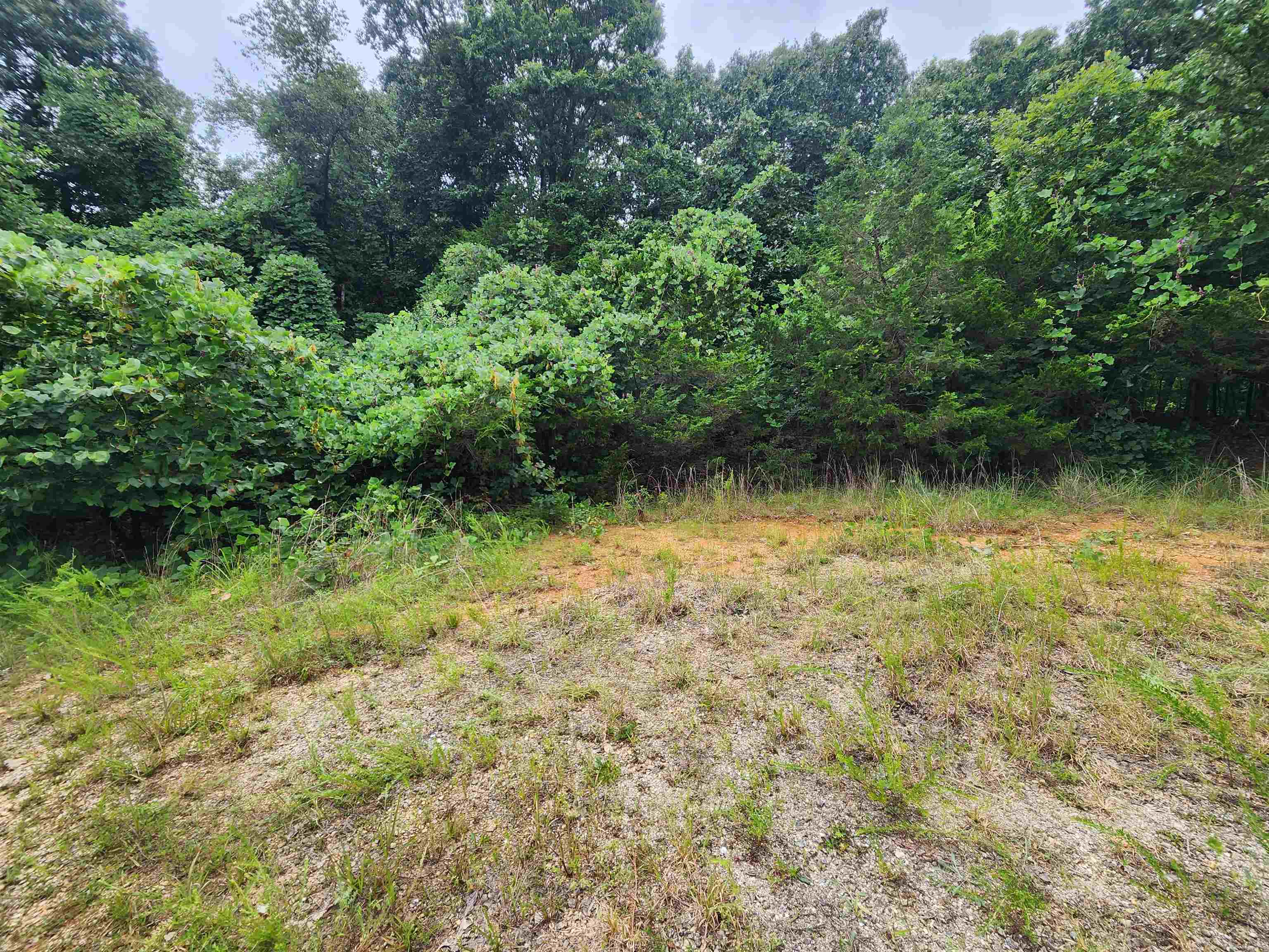 702 Dixie Circle Property Photo 3