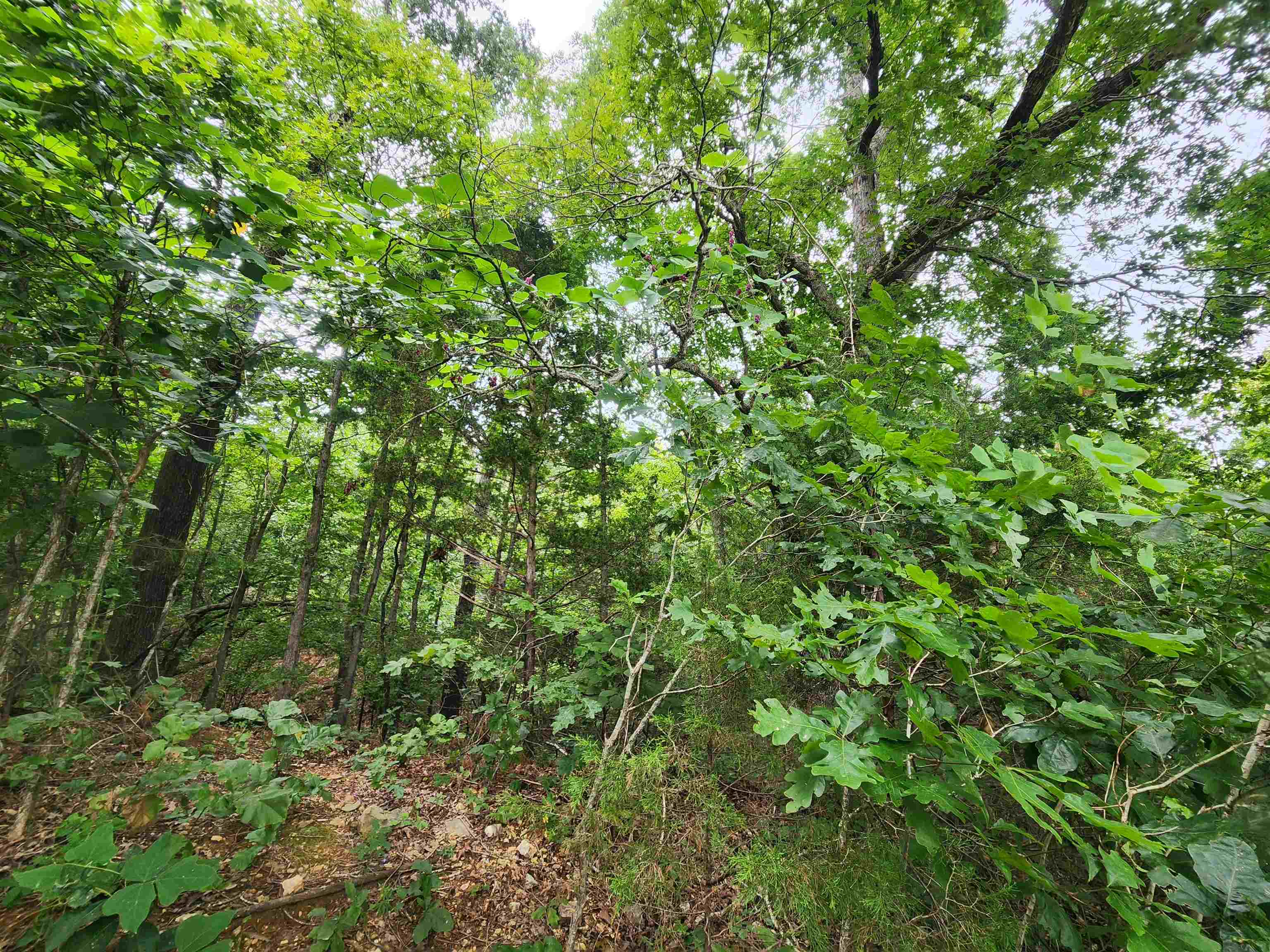 702 Dixie Circle Property Photo 8