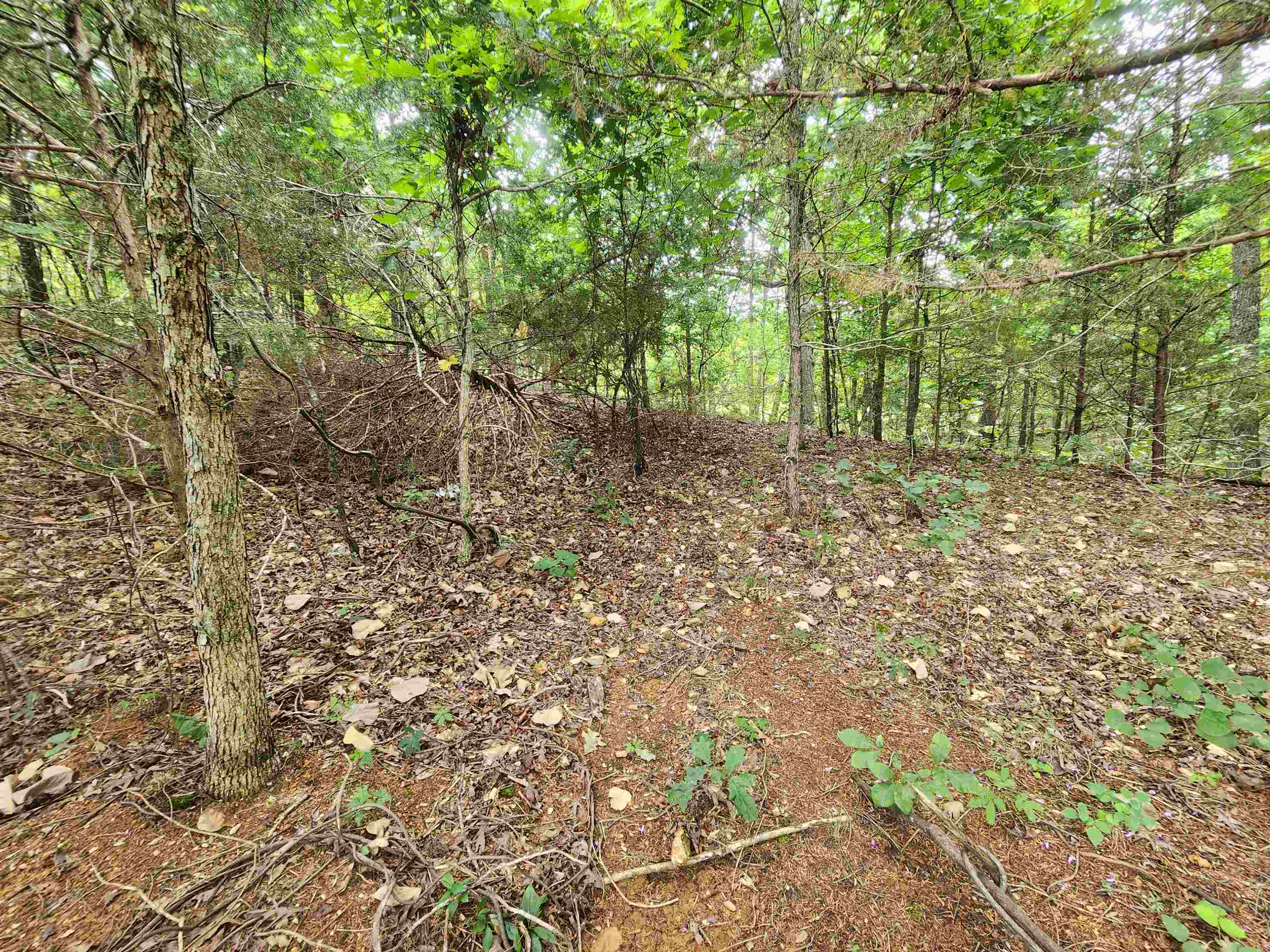 702 Dixie Circle Property Photo 9