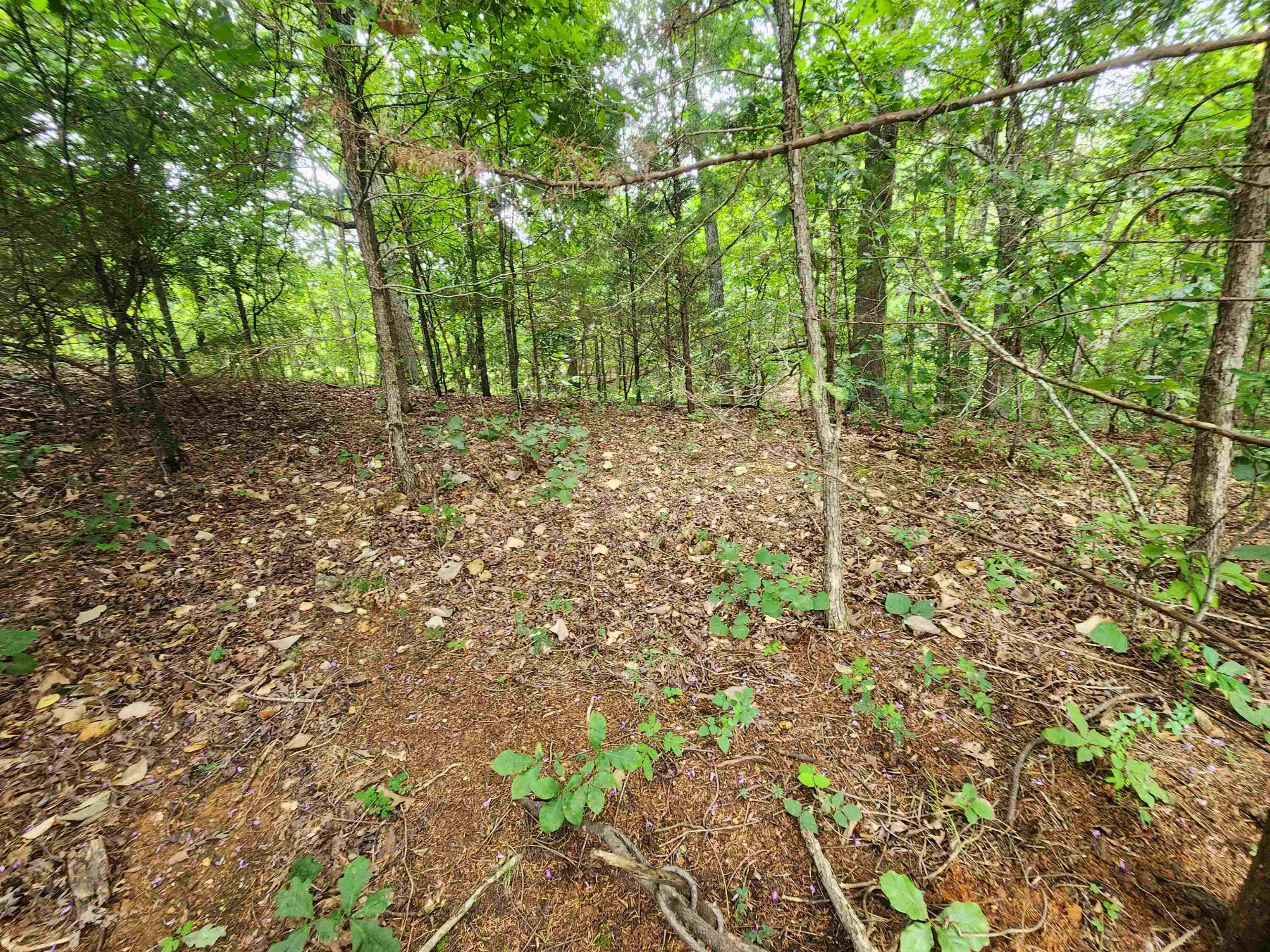 702 Dixie Circle Property Photo 11
