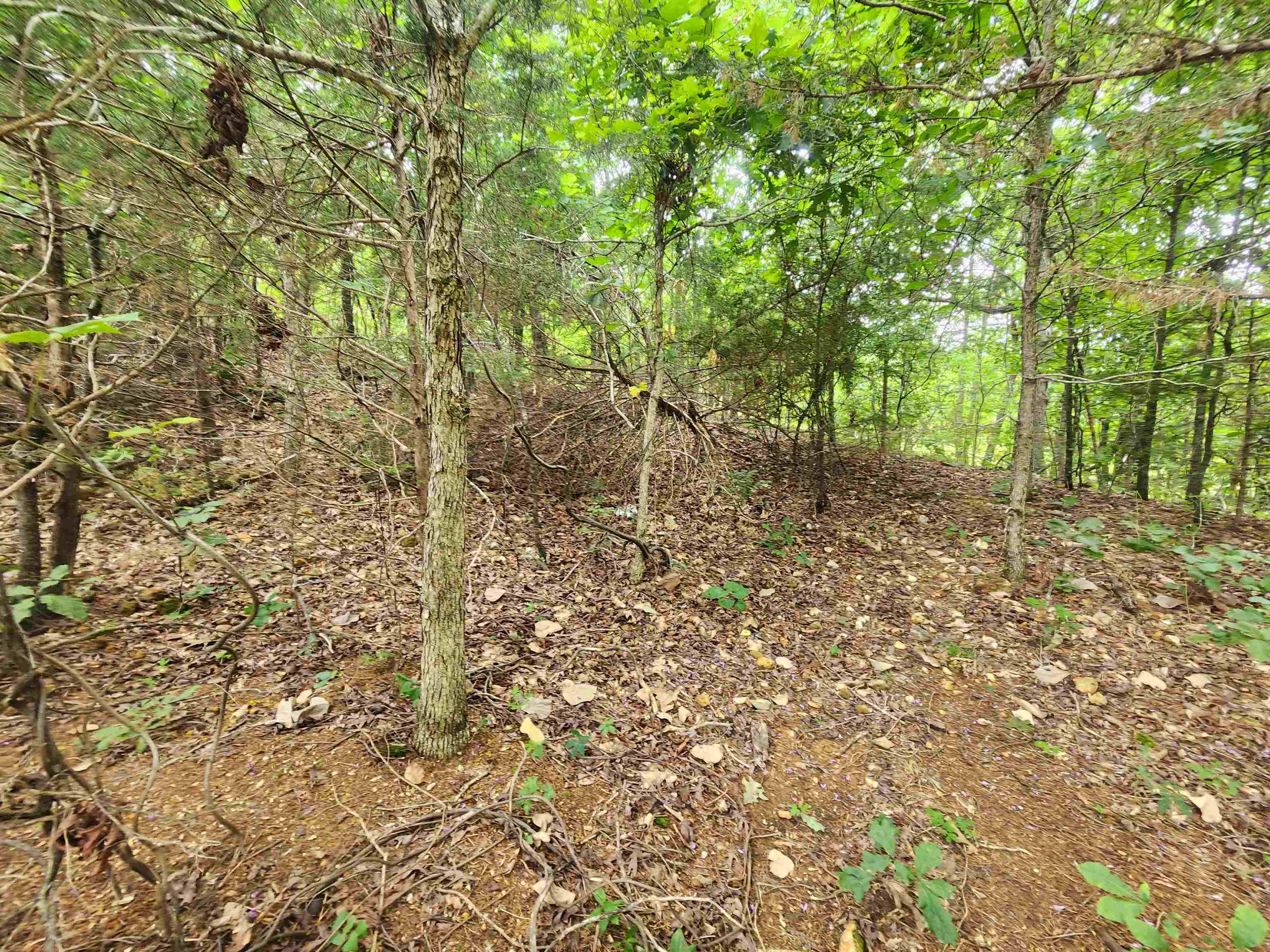 702 Dixie Circle Property Photo 13