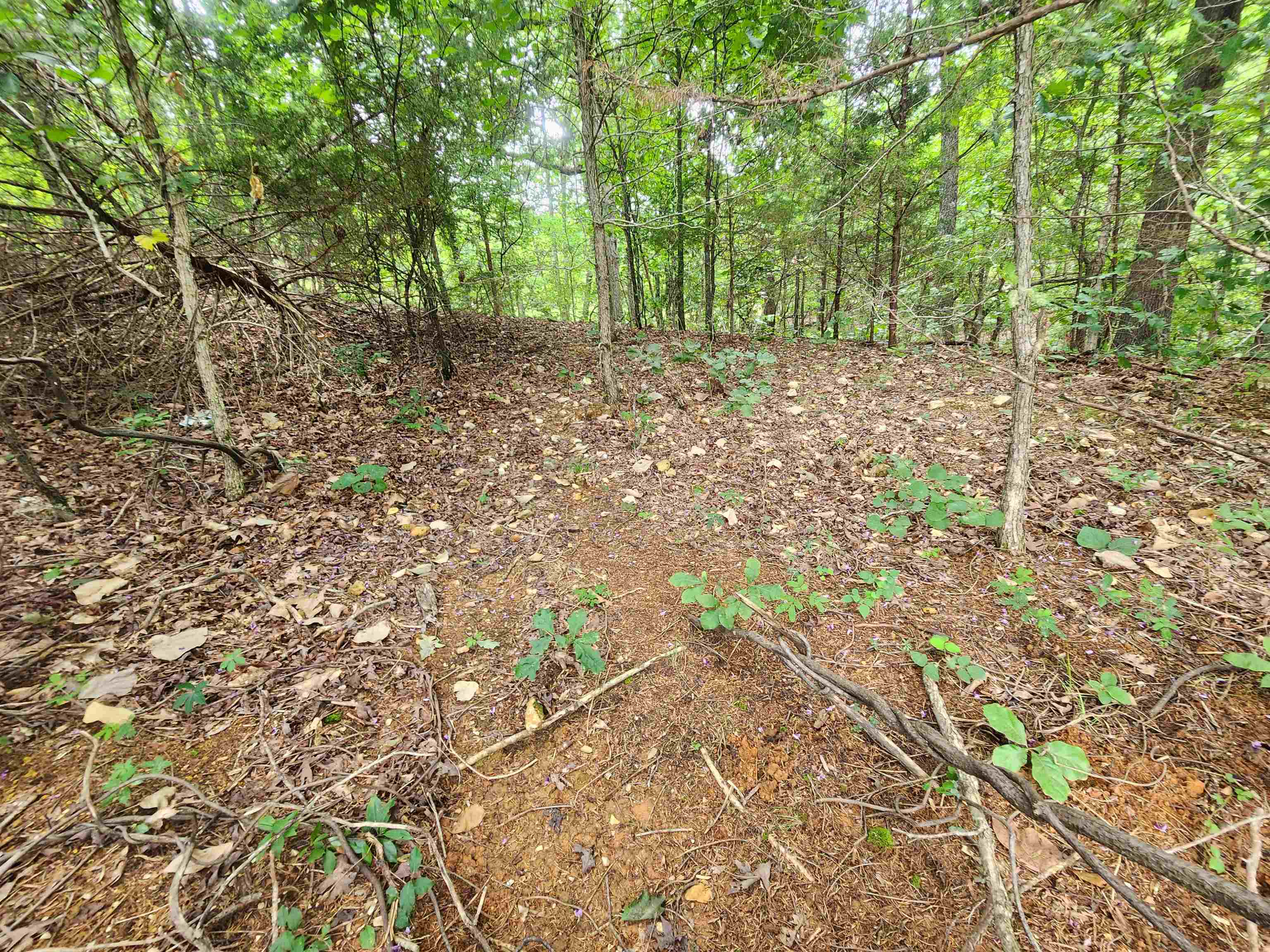 702 Dixie Circle Property Photo 14