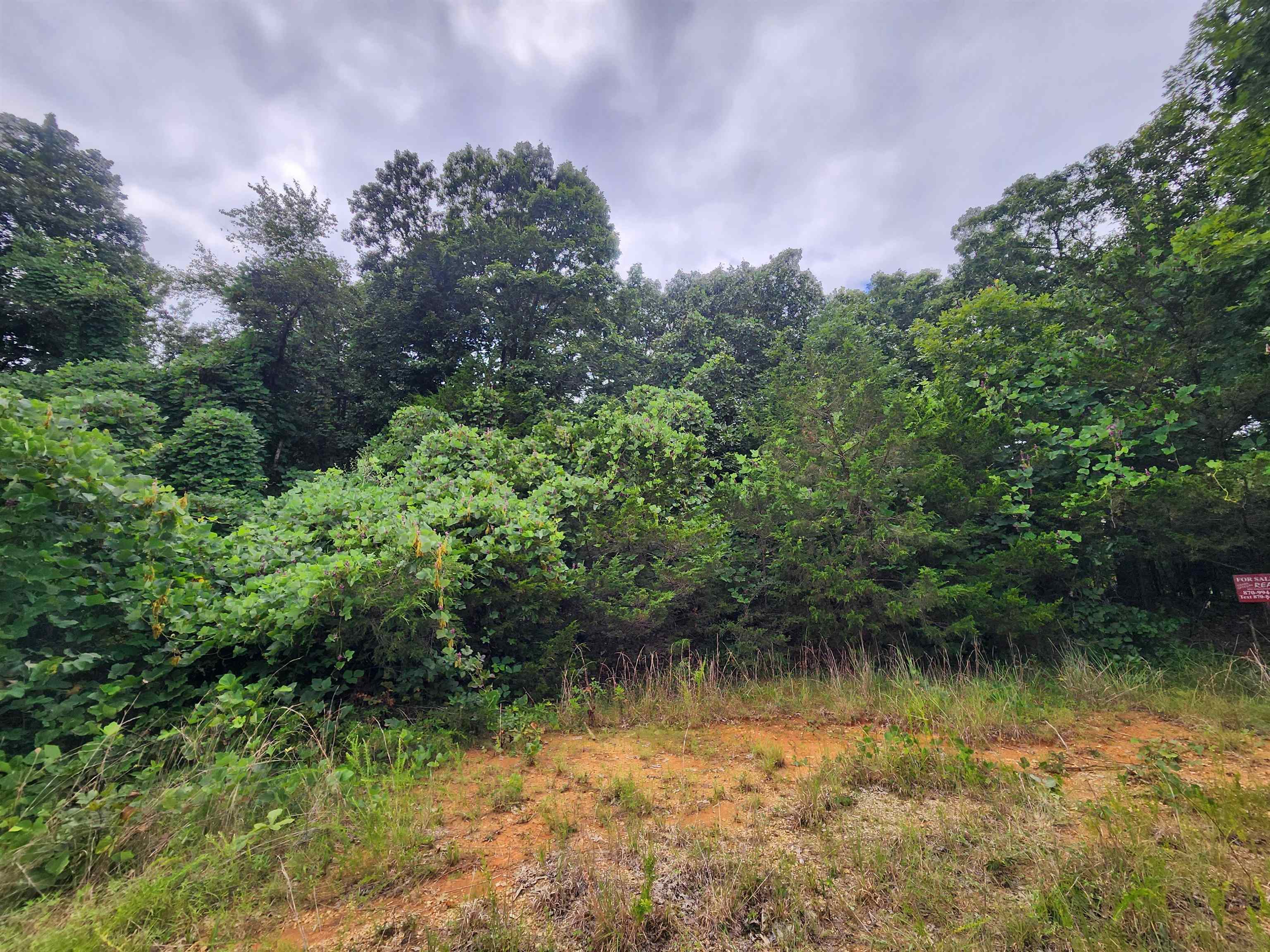 702 Dixie Circle Property Photo 15
