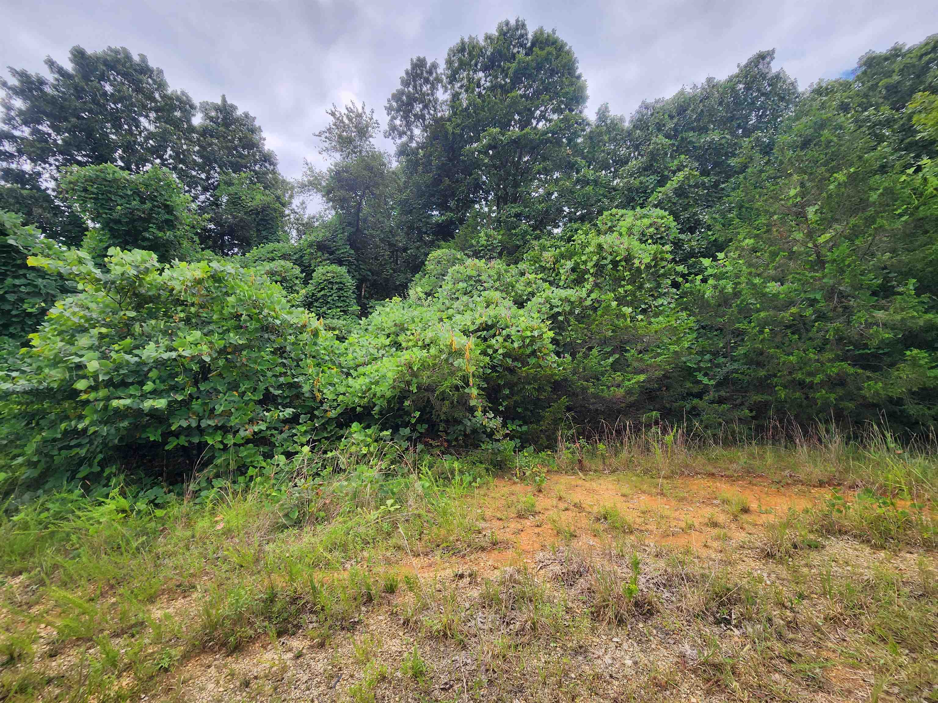 702 Dixie Circle Property Photo 16