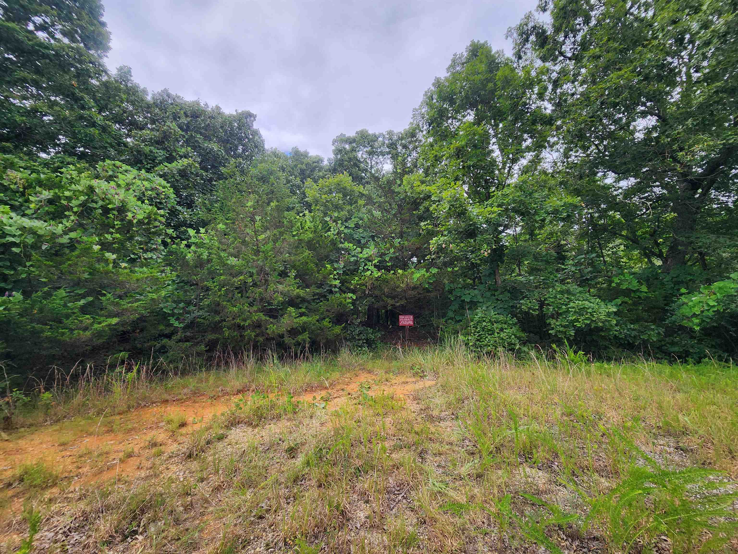 702 Dixie Circle Property Photo 17