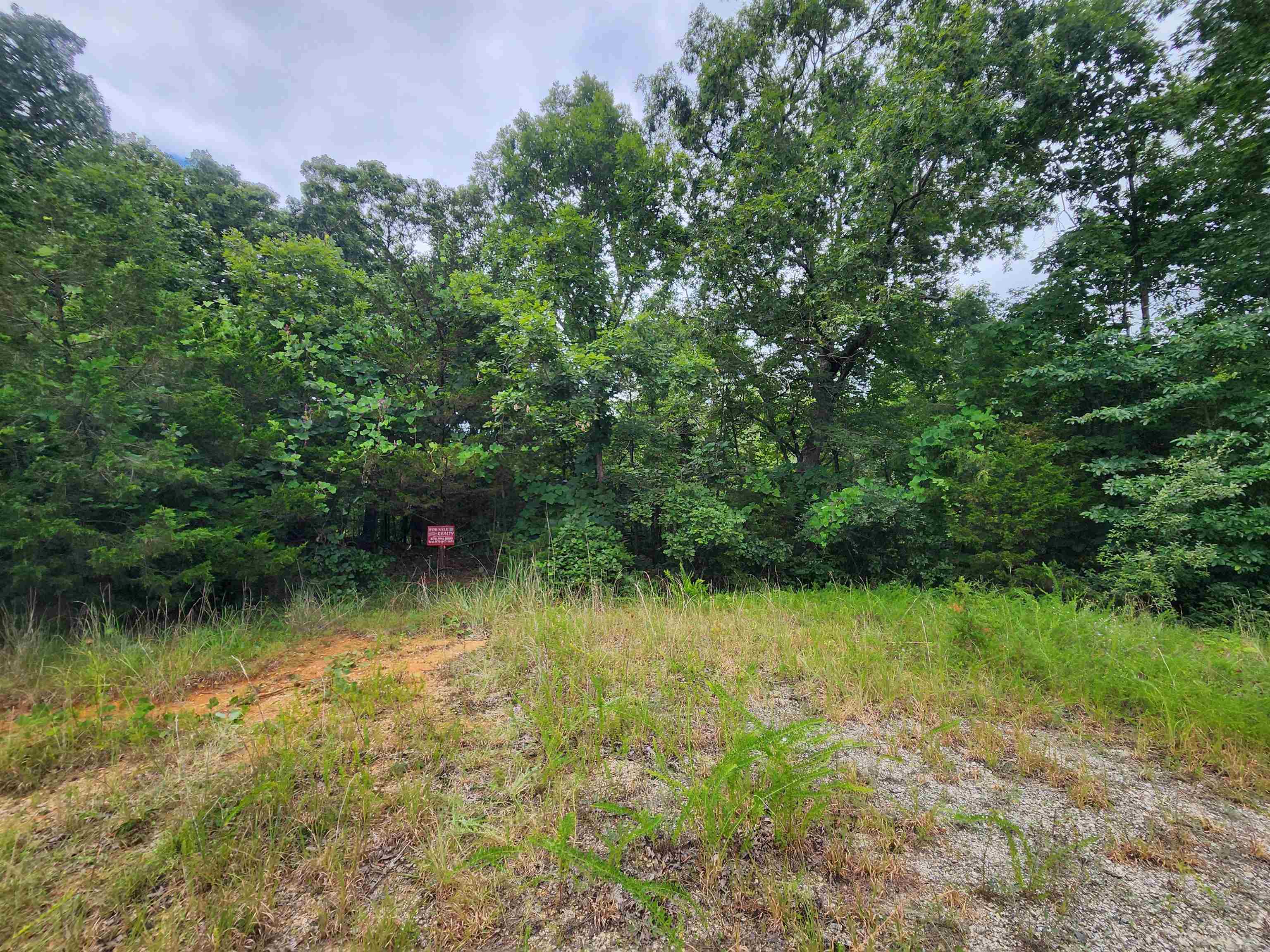 702 Dixie Circle Property Photo 18
